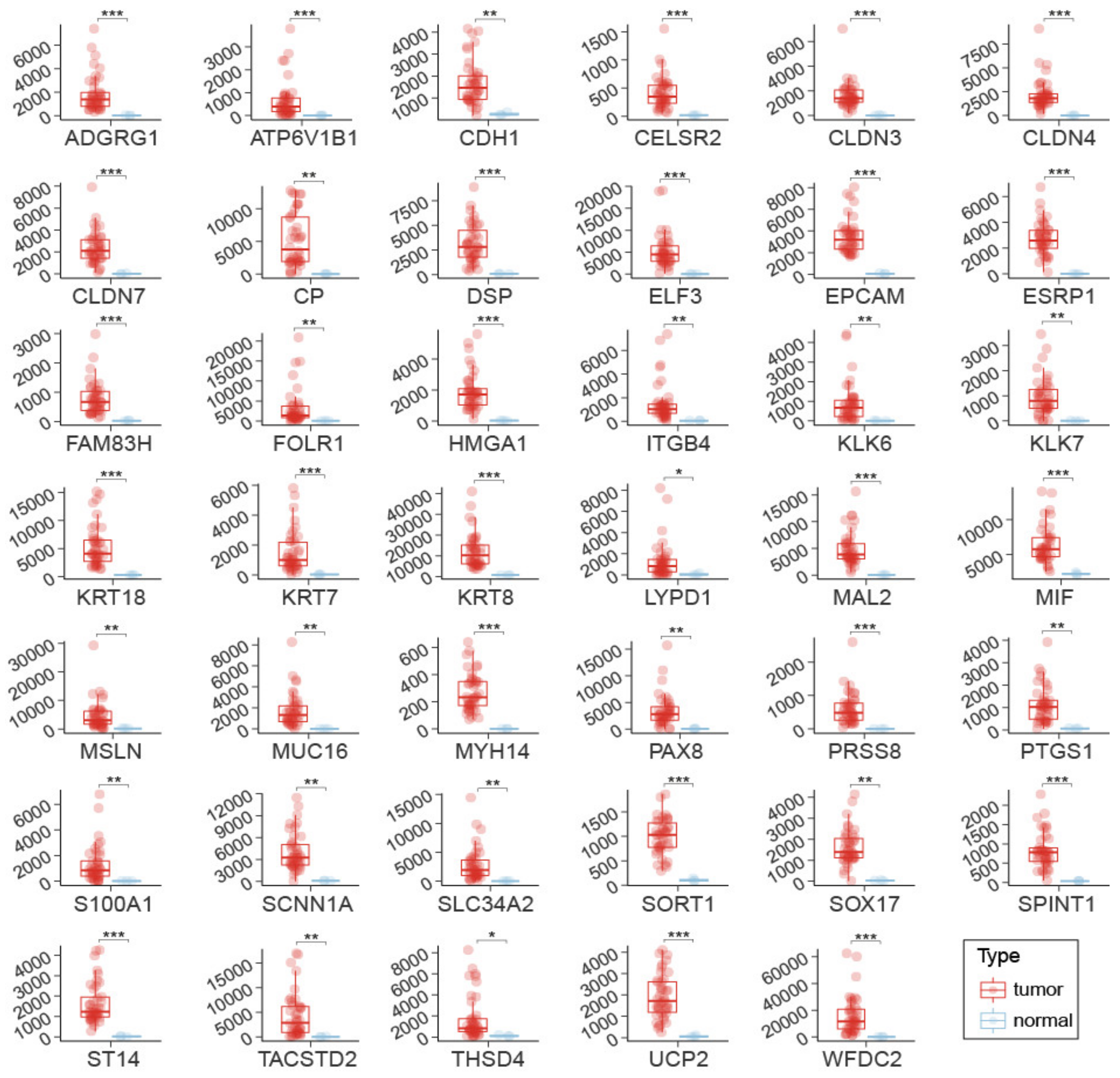 Cancers 14 03764 g002