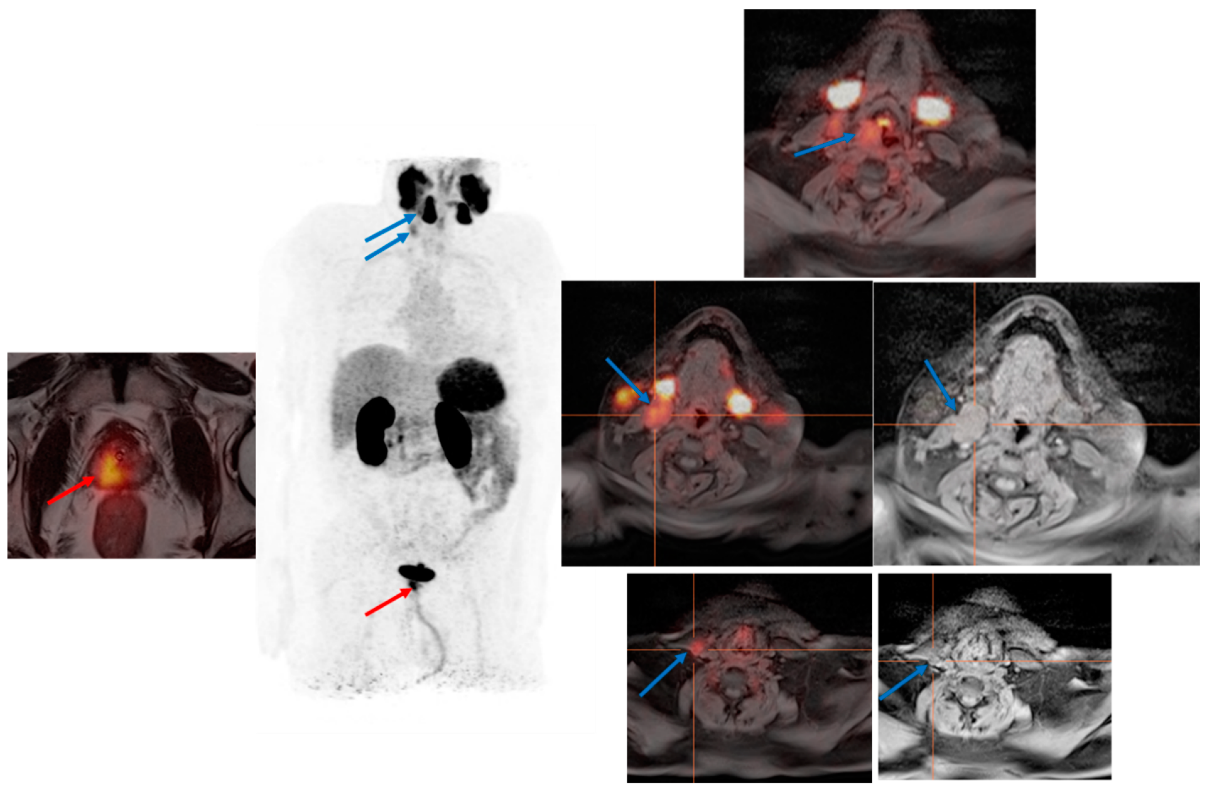 Cancers 14 03768 g004