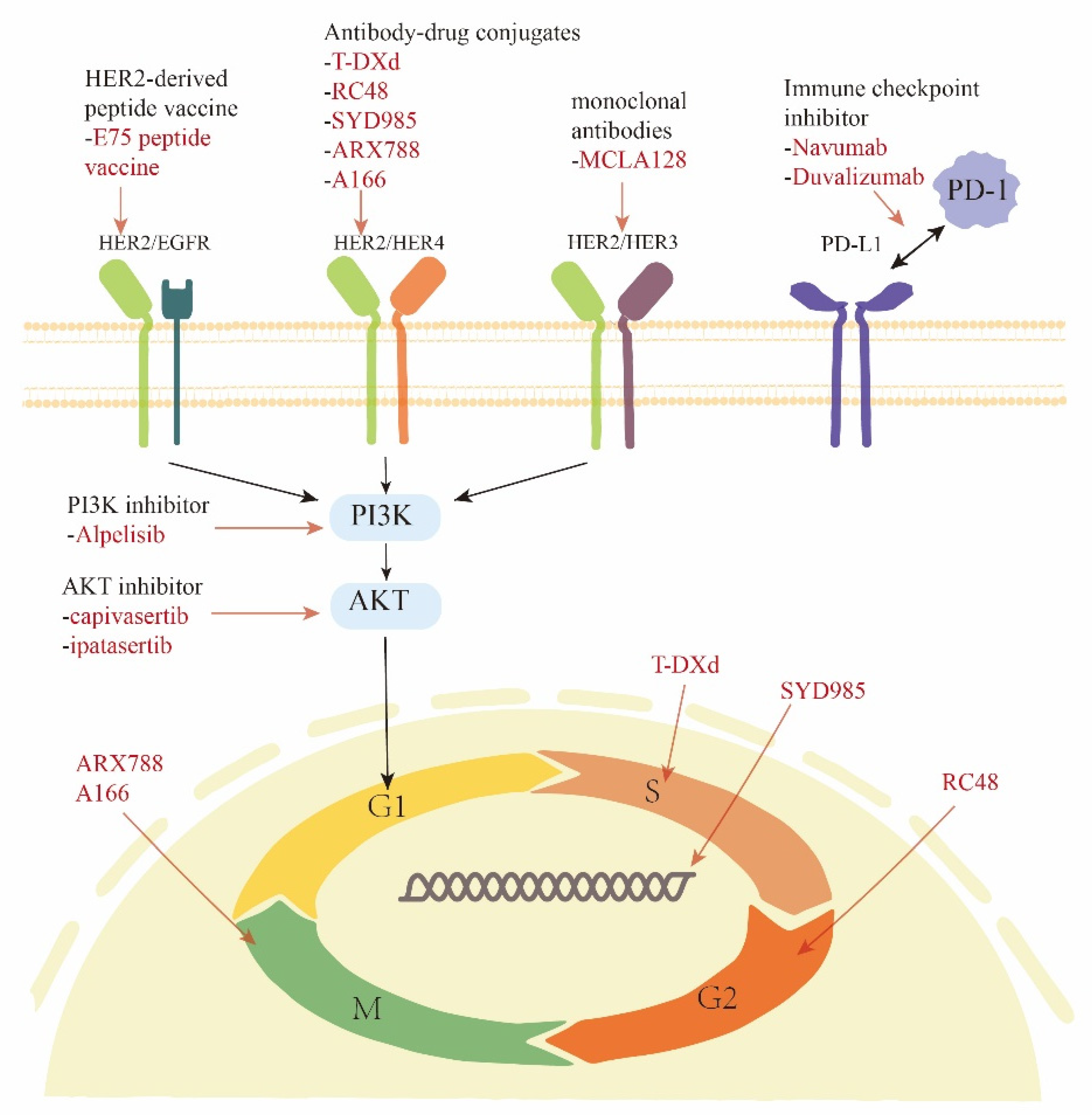 Cancers 14 03774 g001