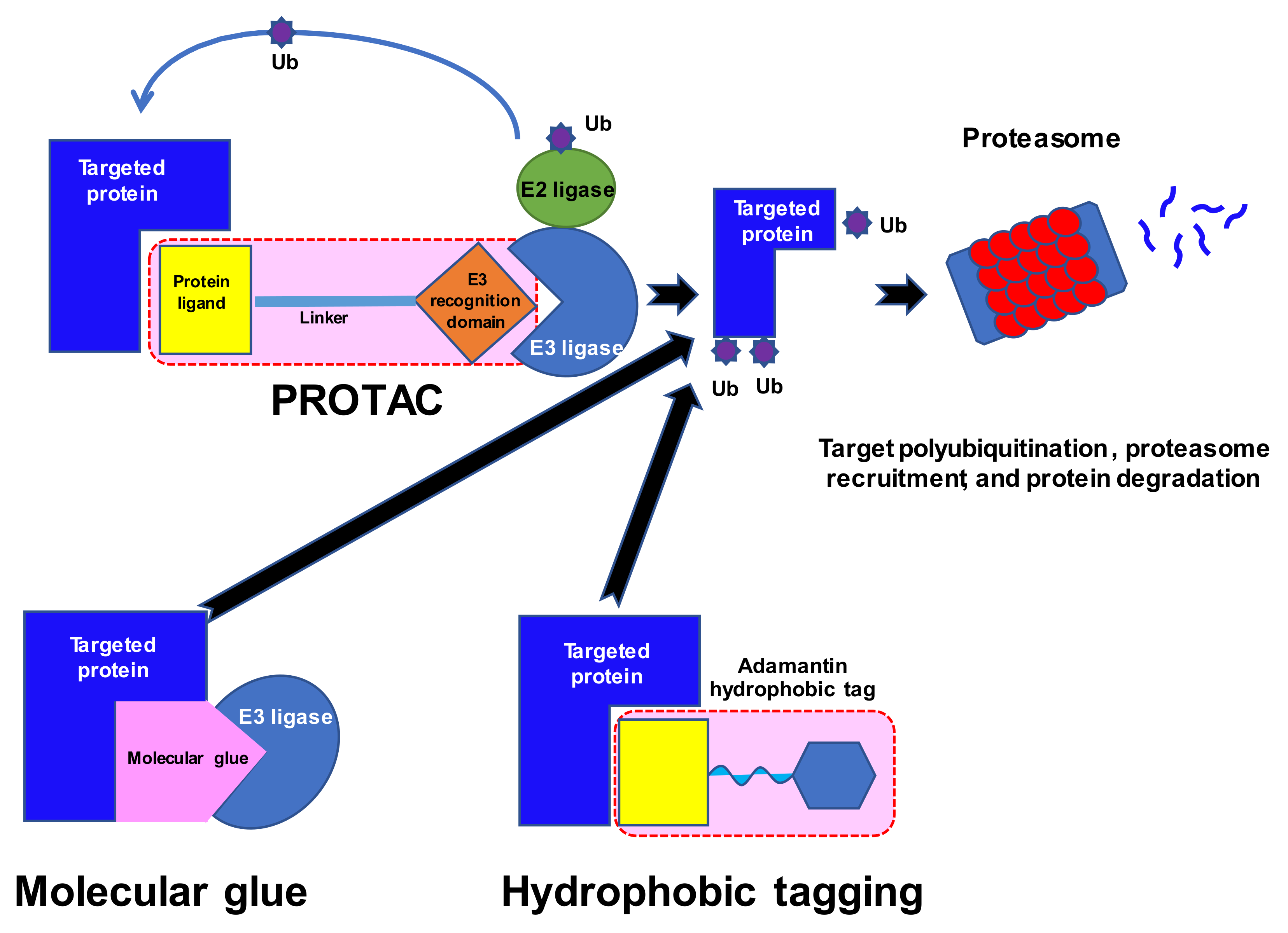 Cancers 14 03778 g001