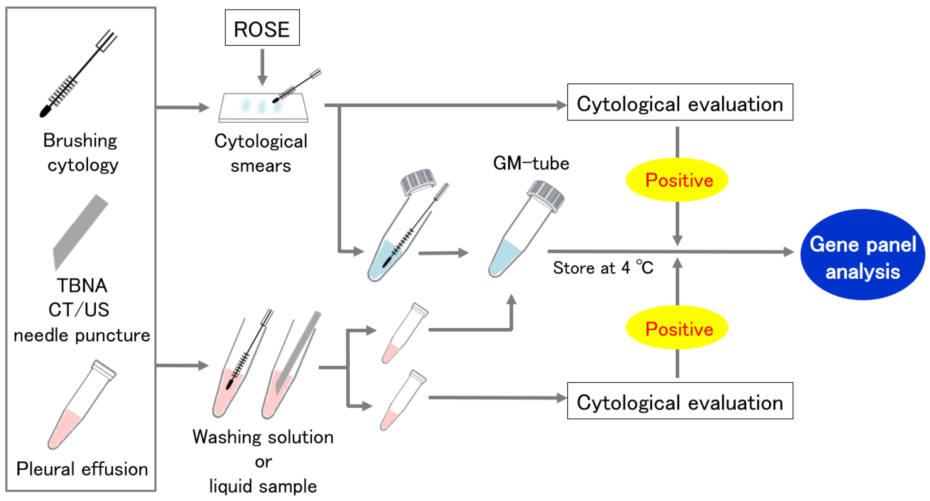 Cancers 14 03784 g001