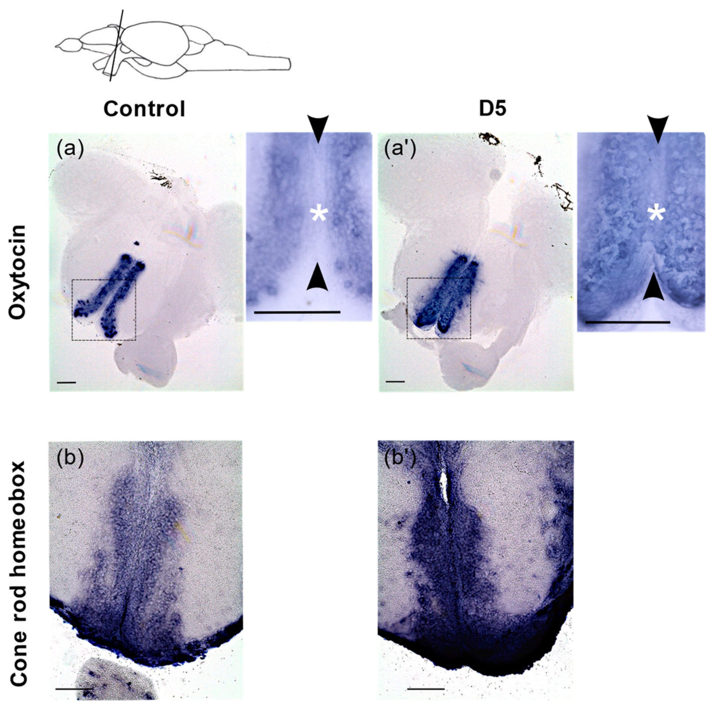 Cancers 14 03793 g007