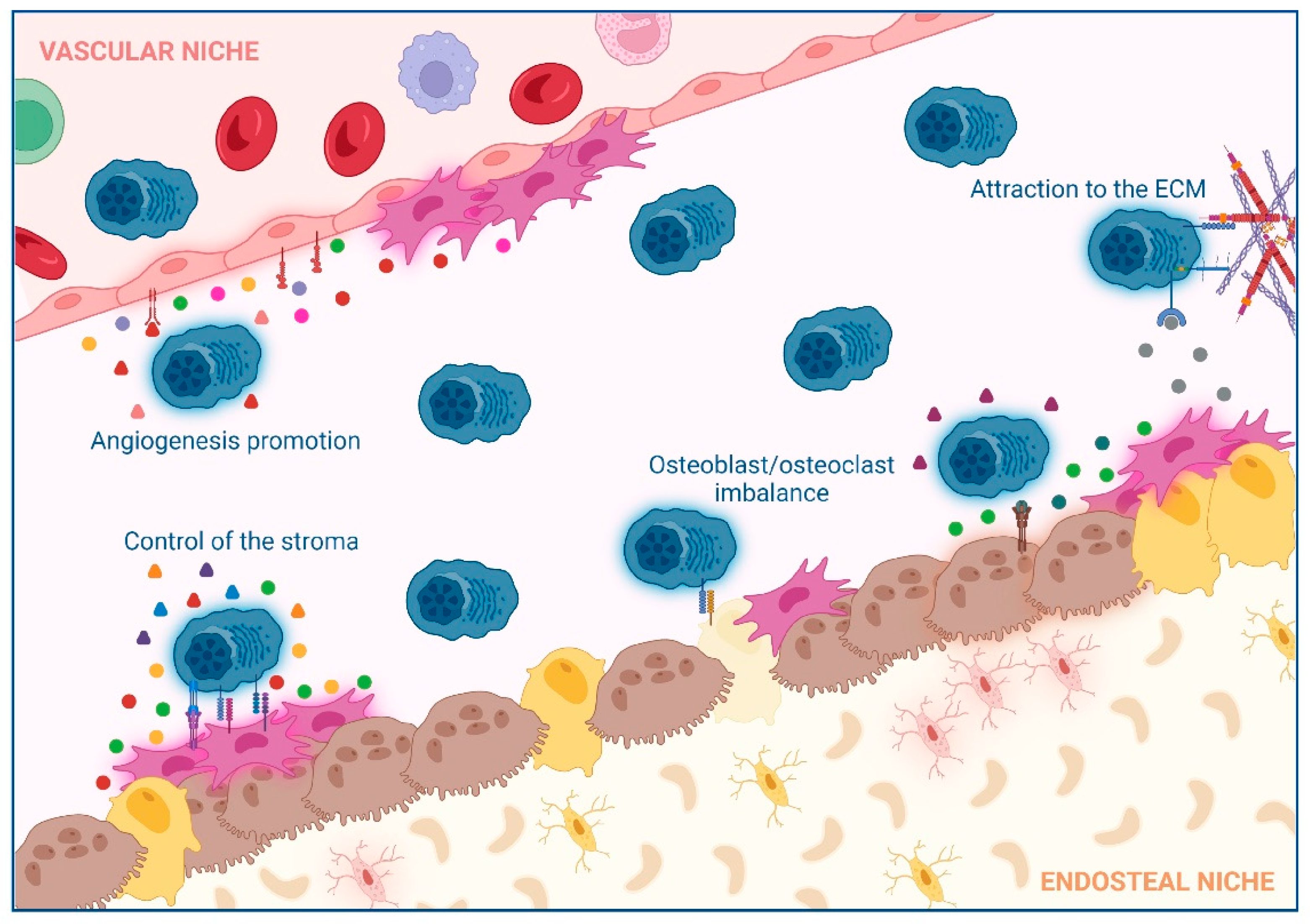 Cancers 14 03796 g001a