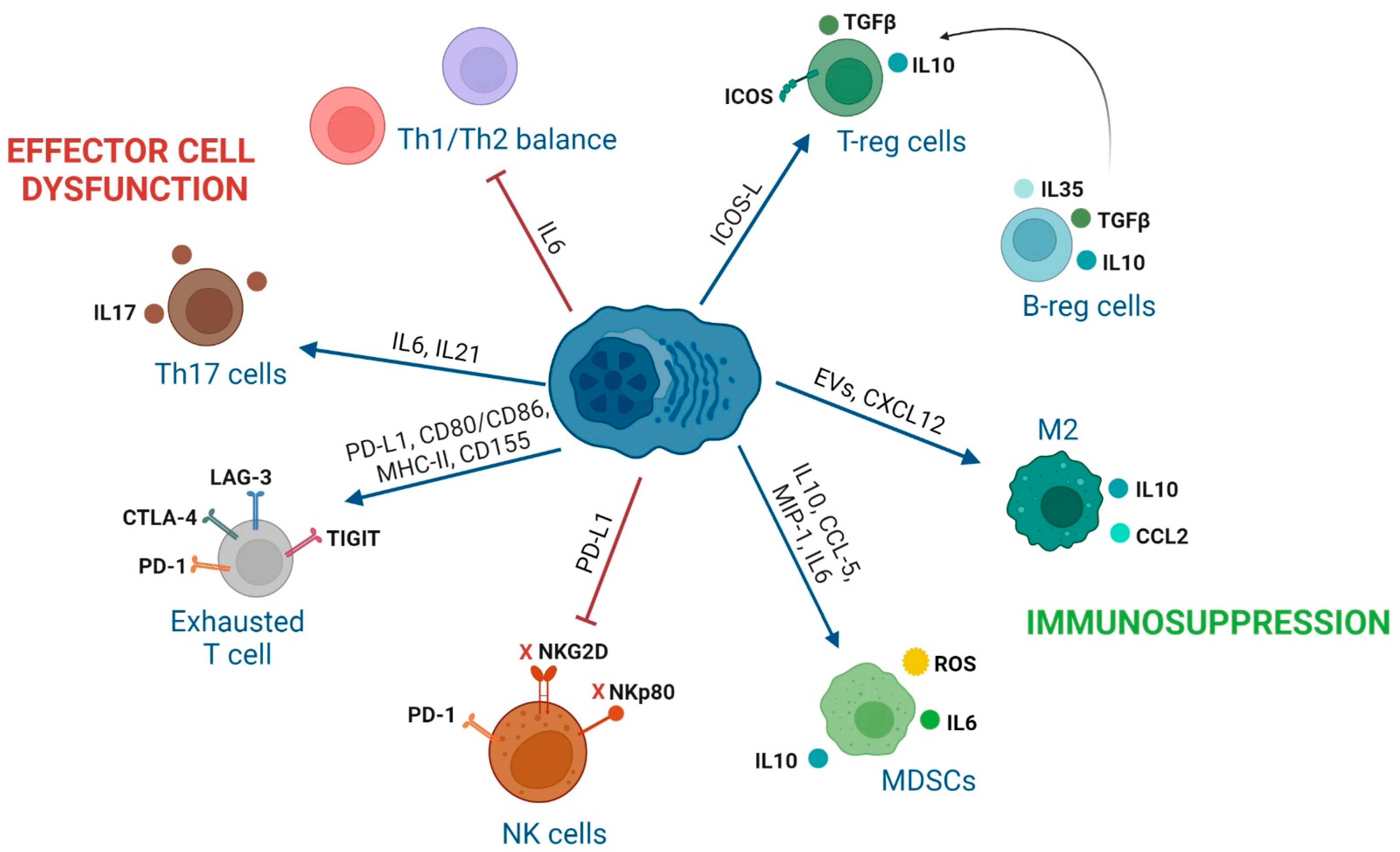 Cancers 14 03796 g002
