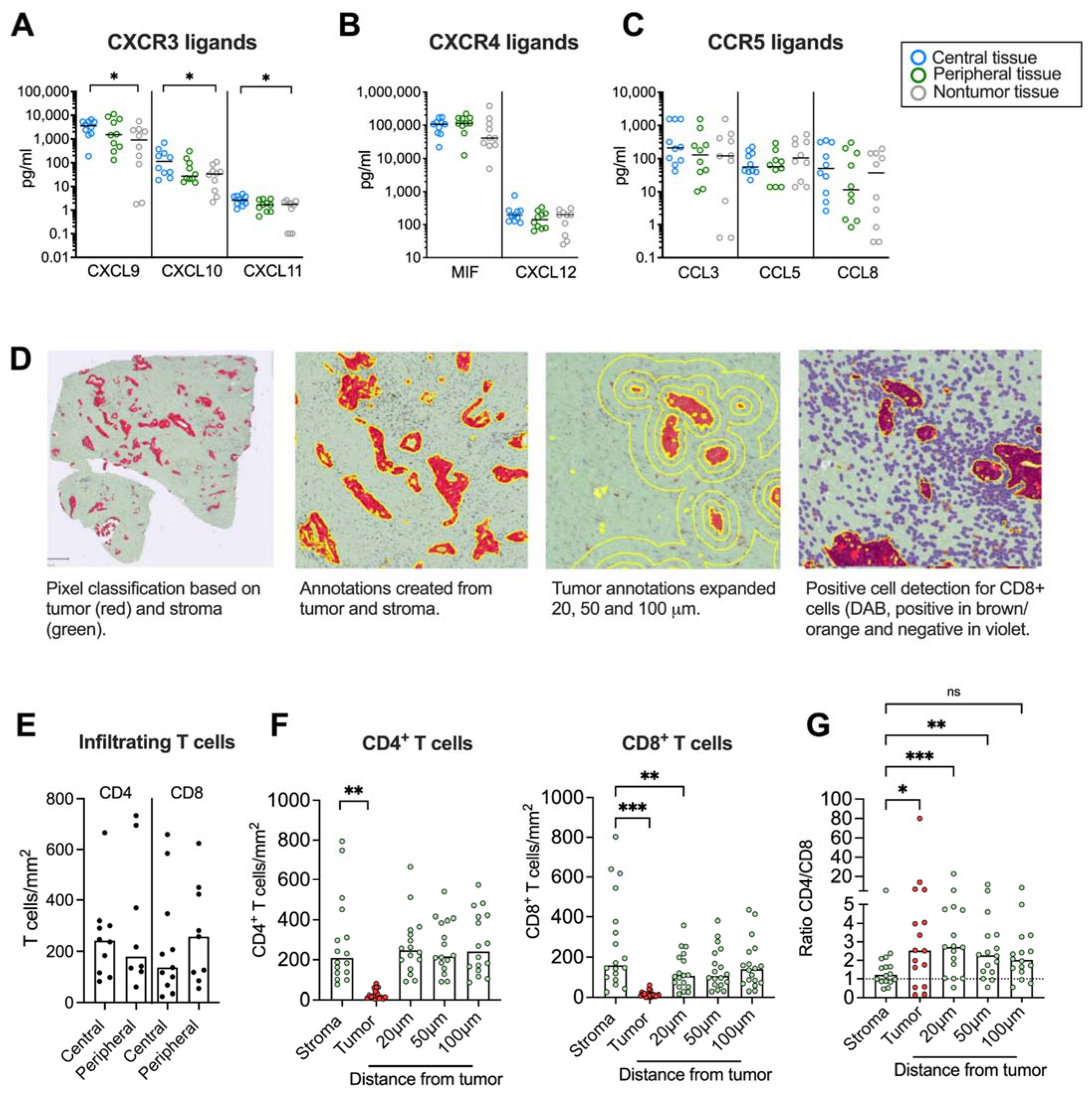 Cancers 14 03826 g004