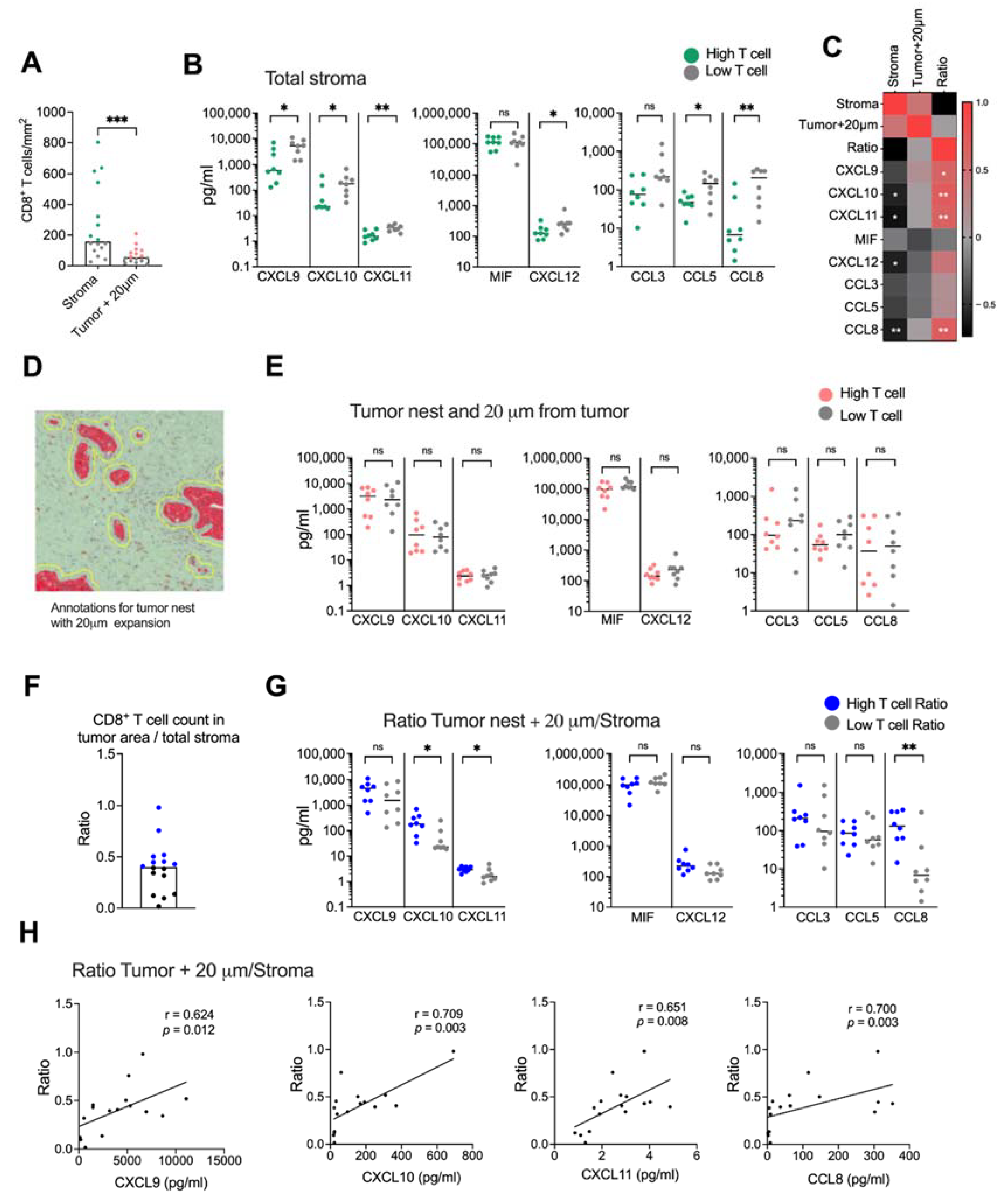 Cancers 14 03826 g005