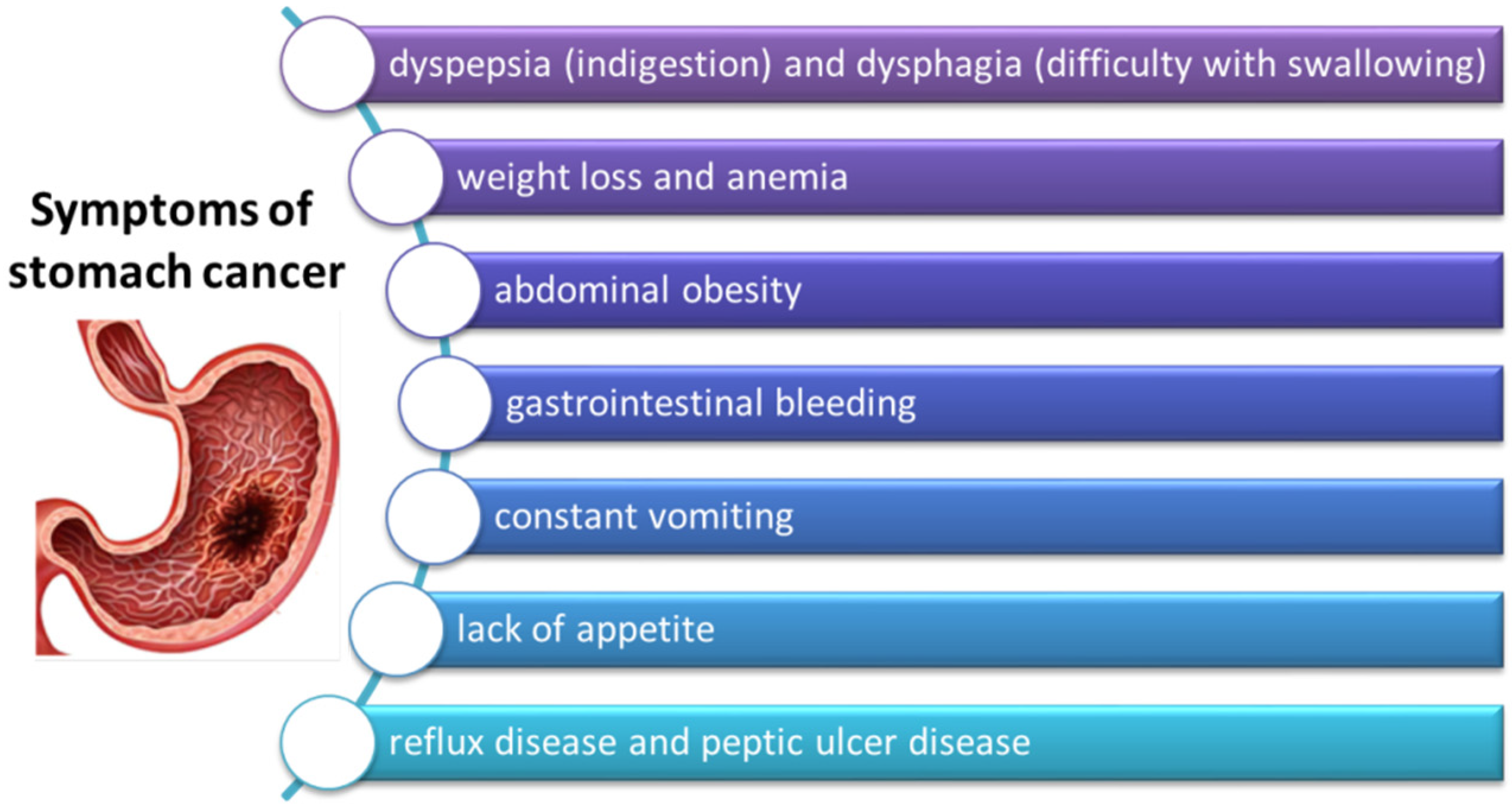 Cancers 14 03832 g005