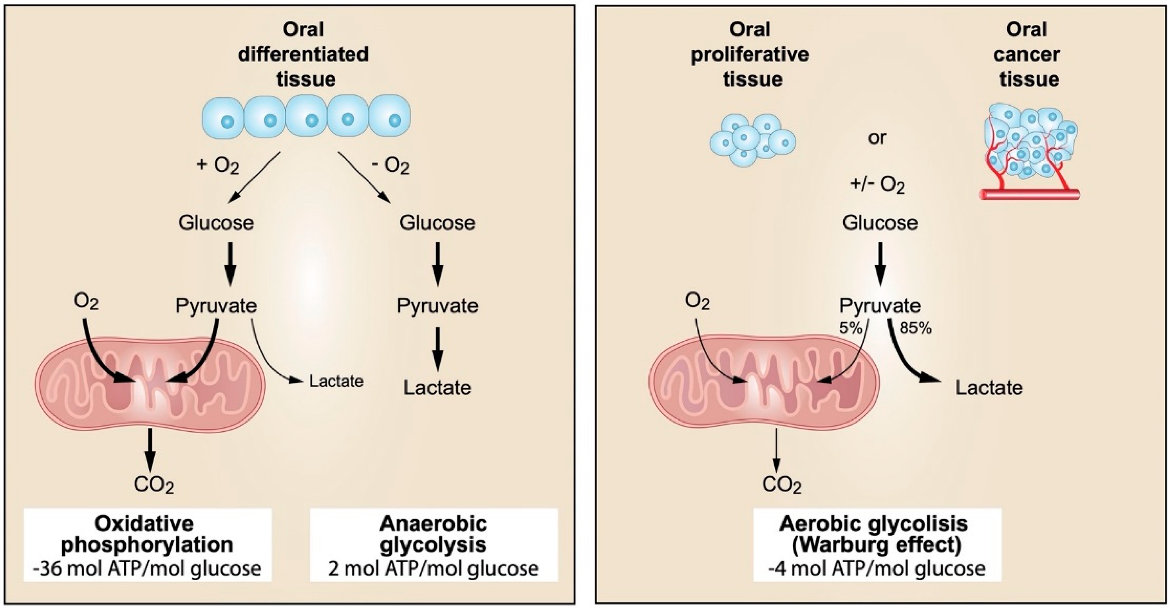 Cancers 14 03834 g004 Cancers 14 03834 g004