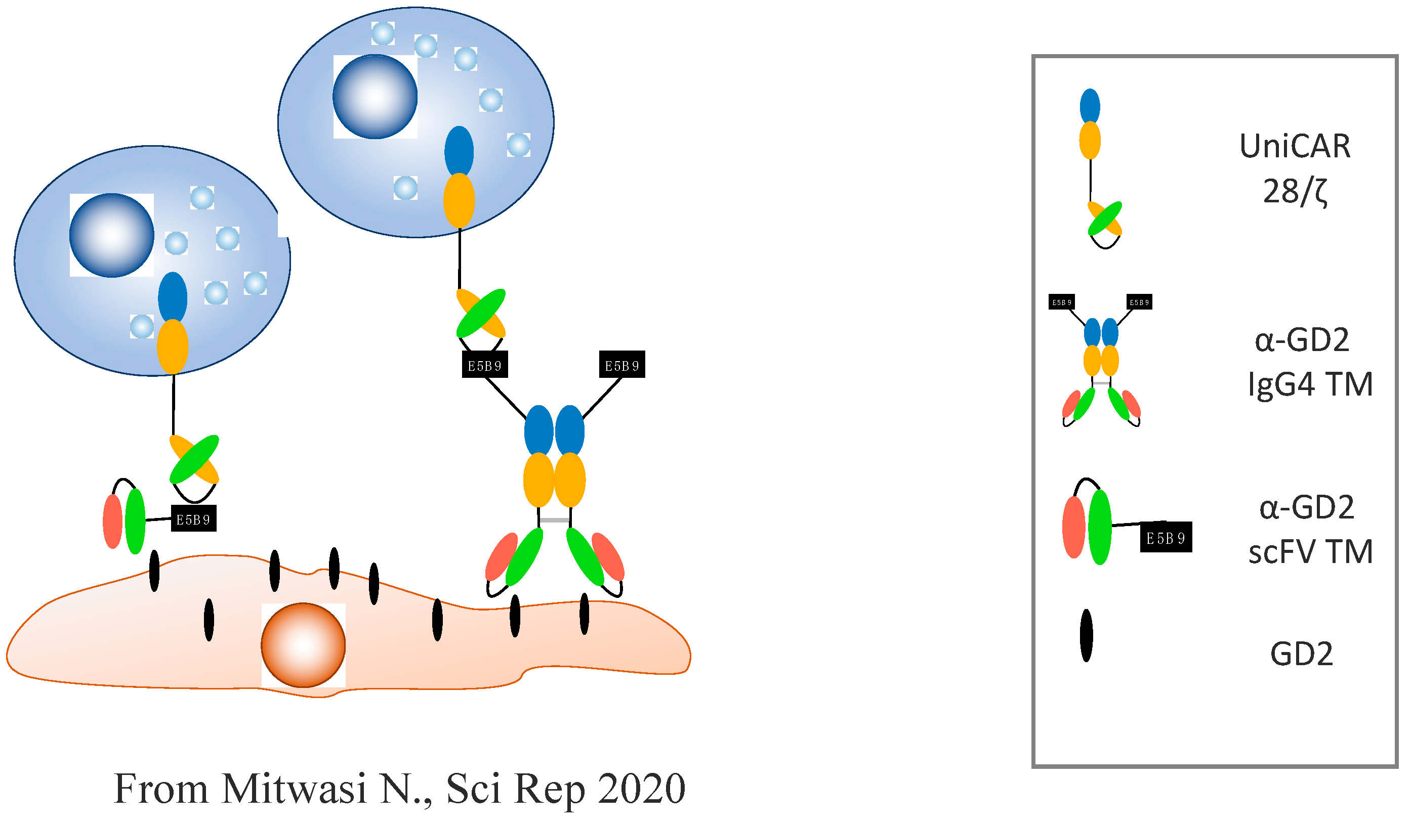 Cancers 14 03839 g002
