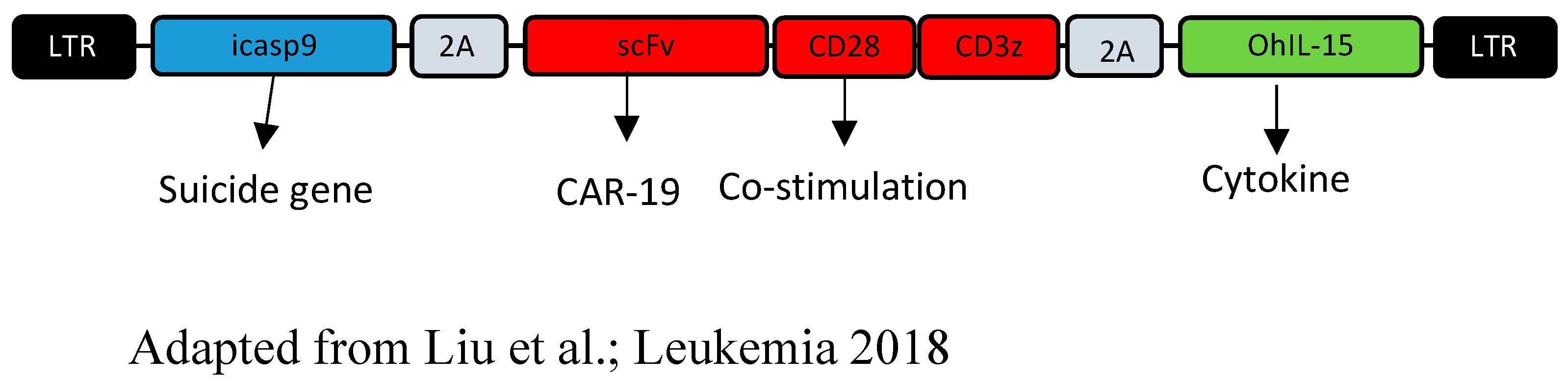 Cancers 14 03839 g003