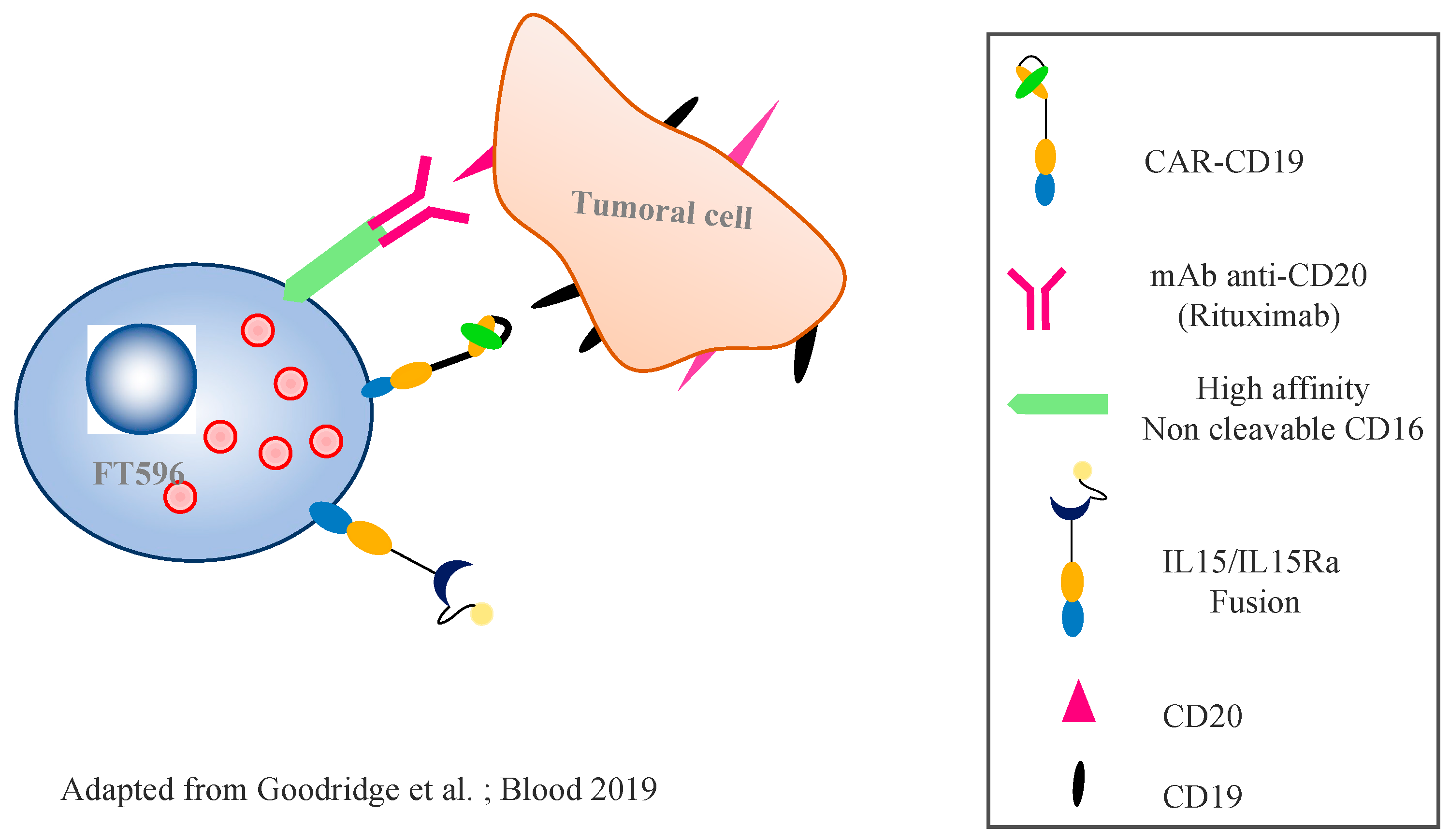 Cancers 14 03839 g004