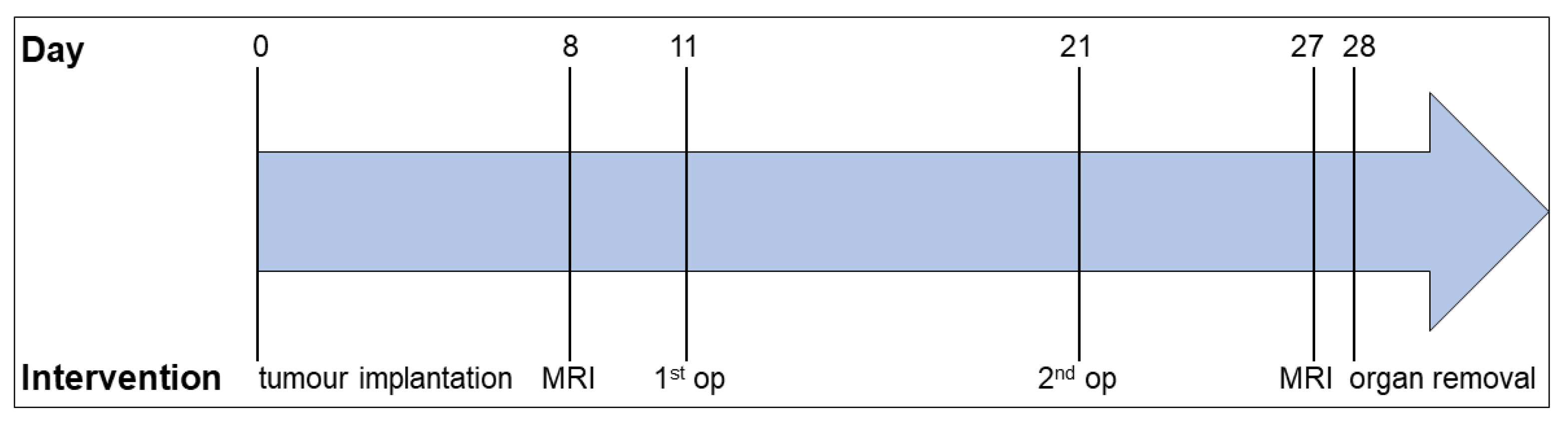 Cancers 14 03850 g001