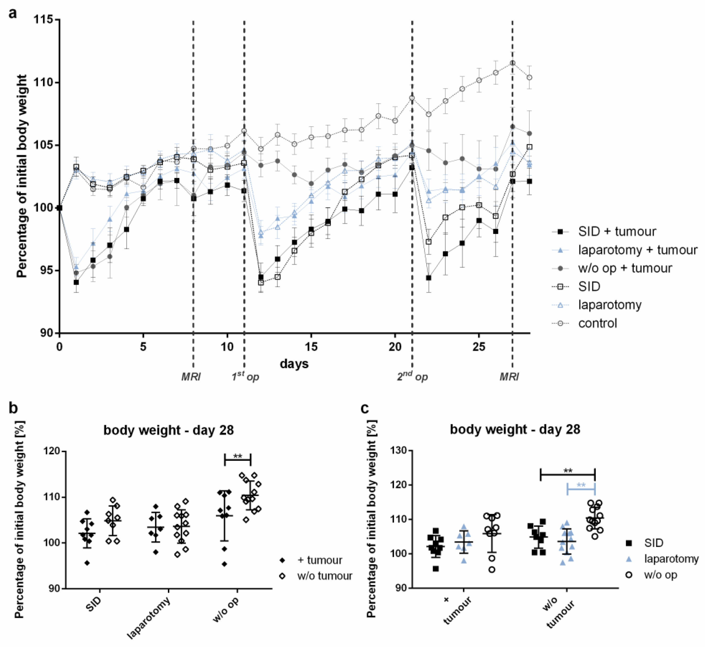 Cancers 14 03850 g003