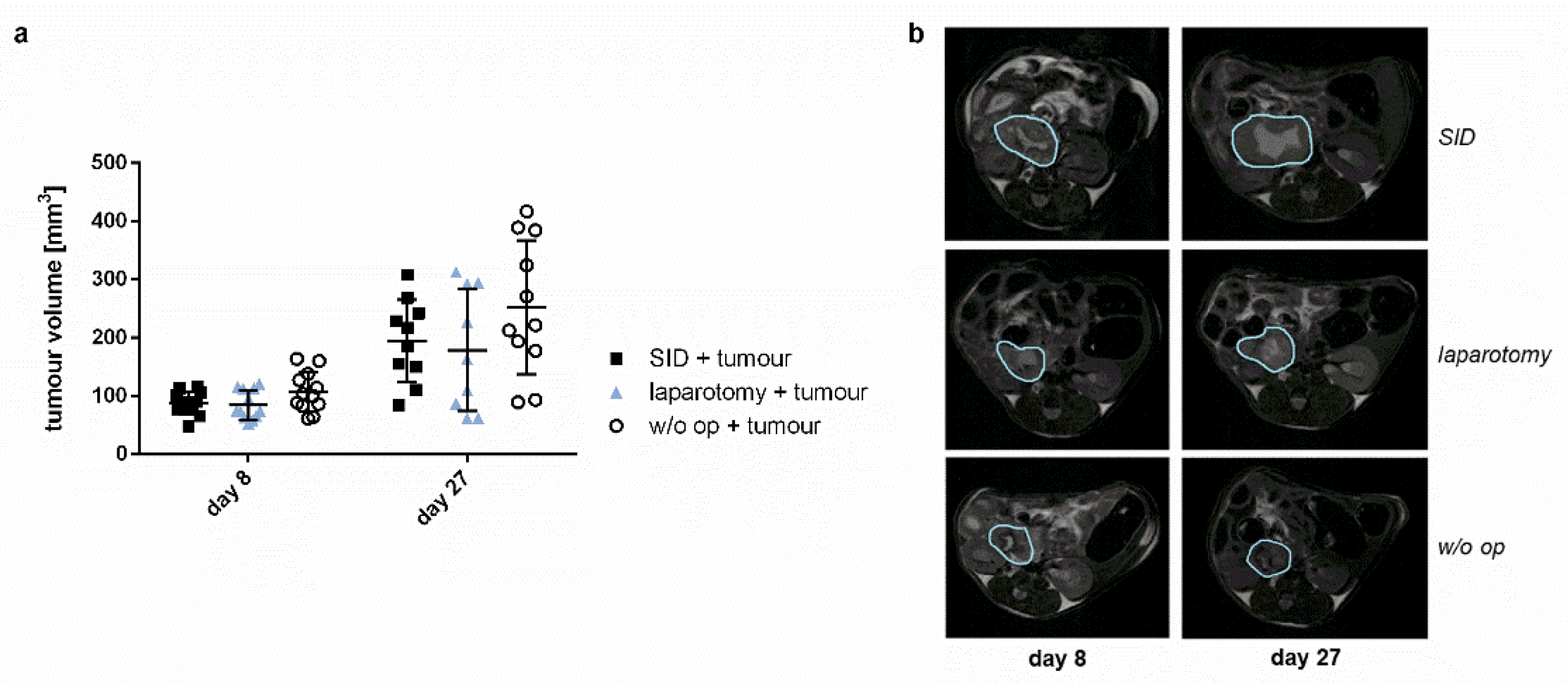 Cancers 14 03850 g004