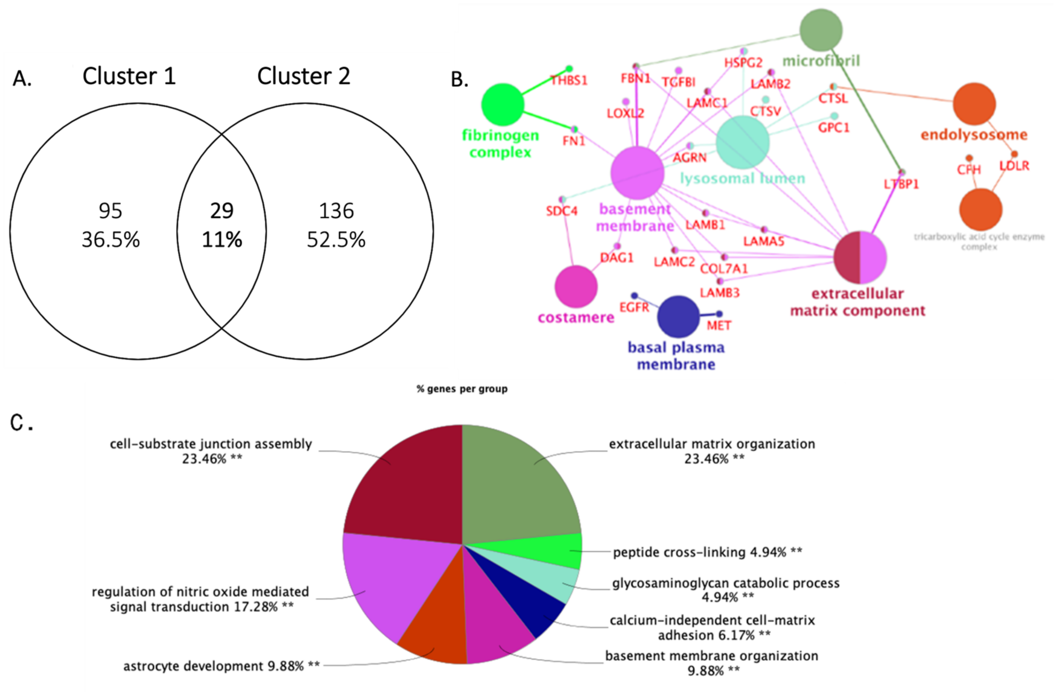 Cancers 14 03854 g002