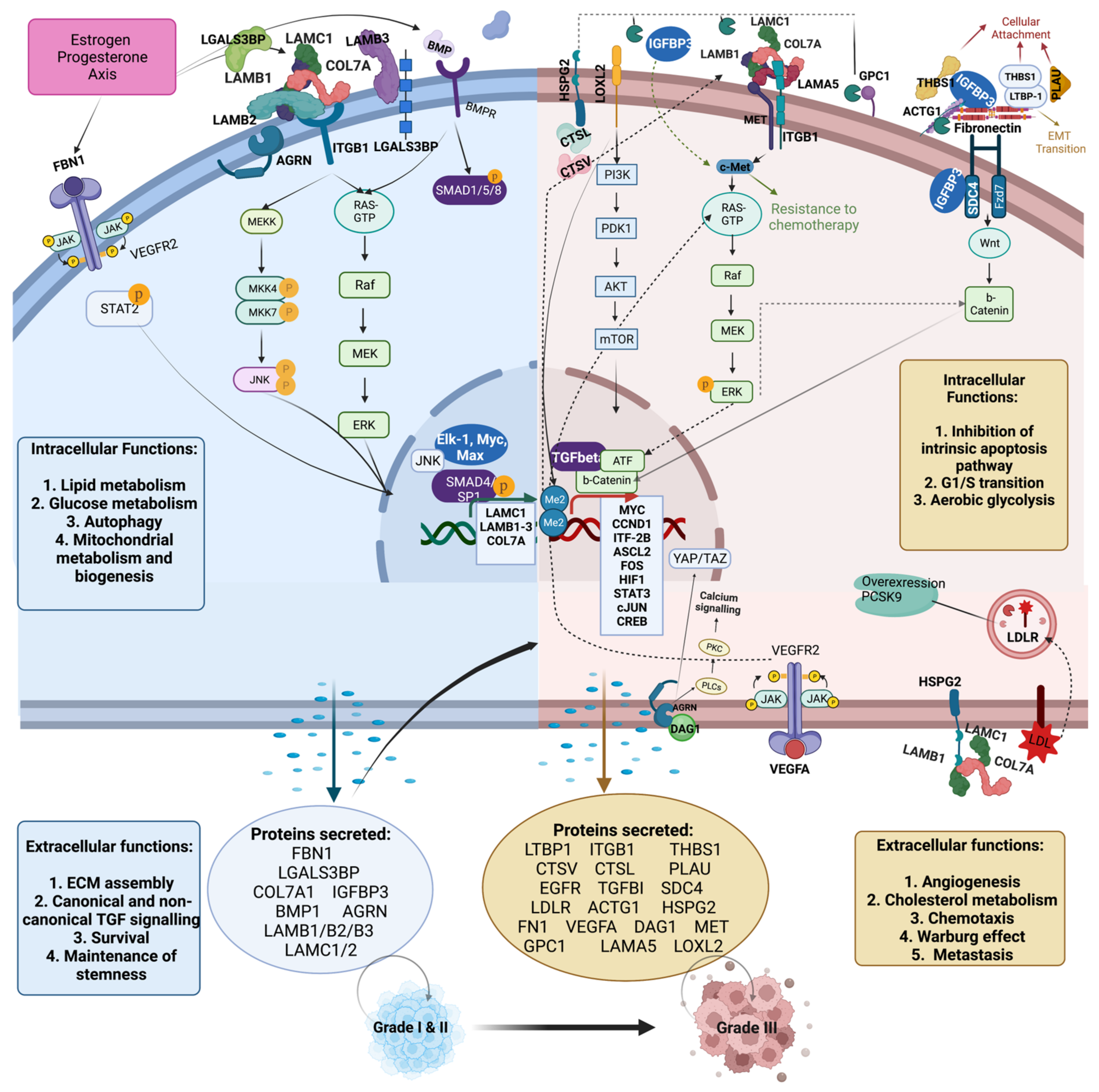 Cancers 14 03854 g006