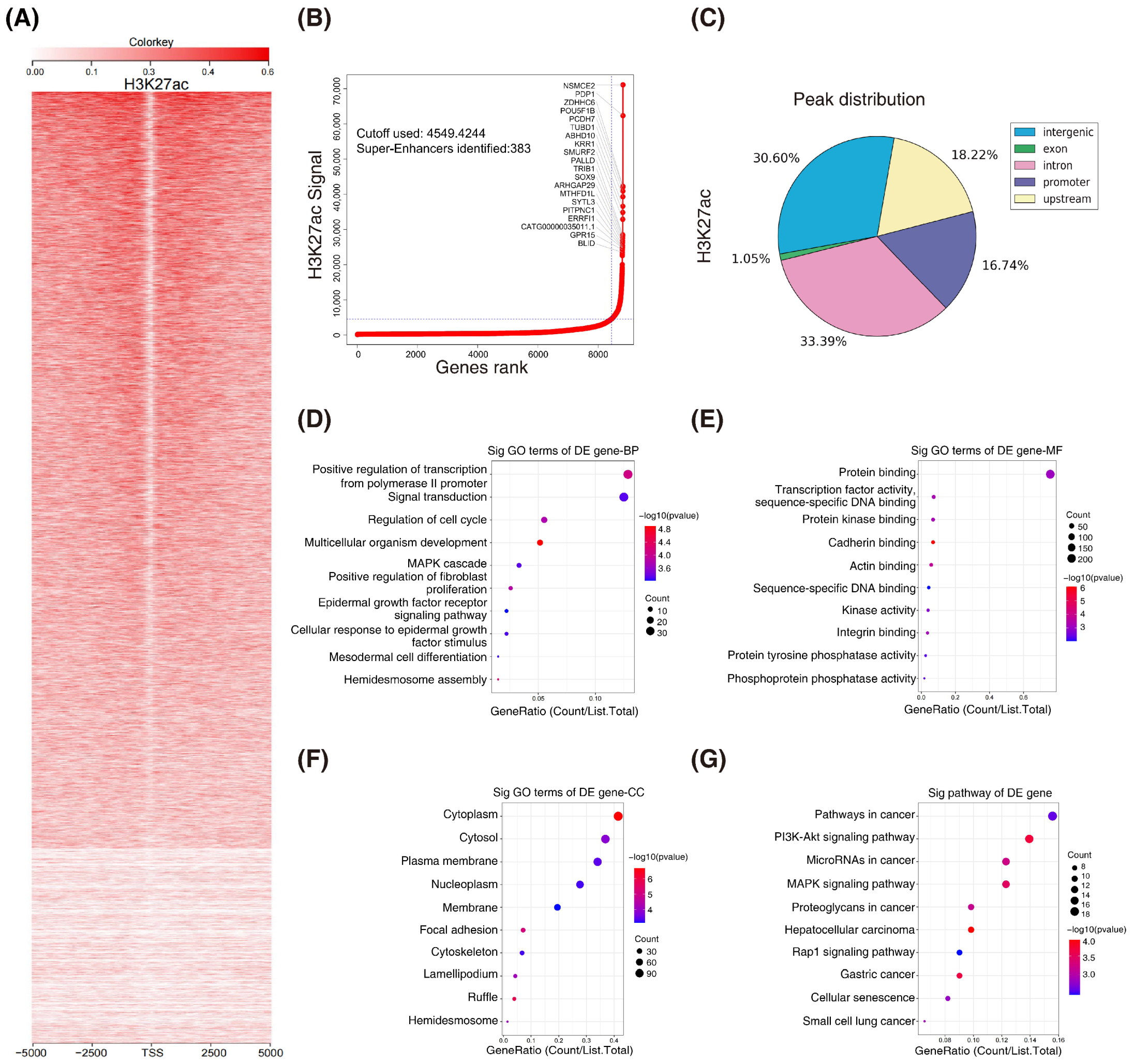 Cancers 14 03855 g001