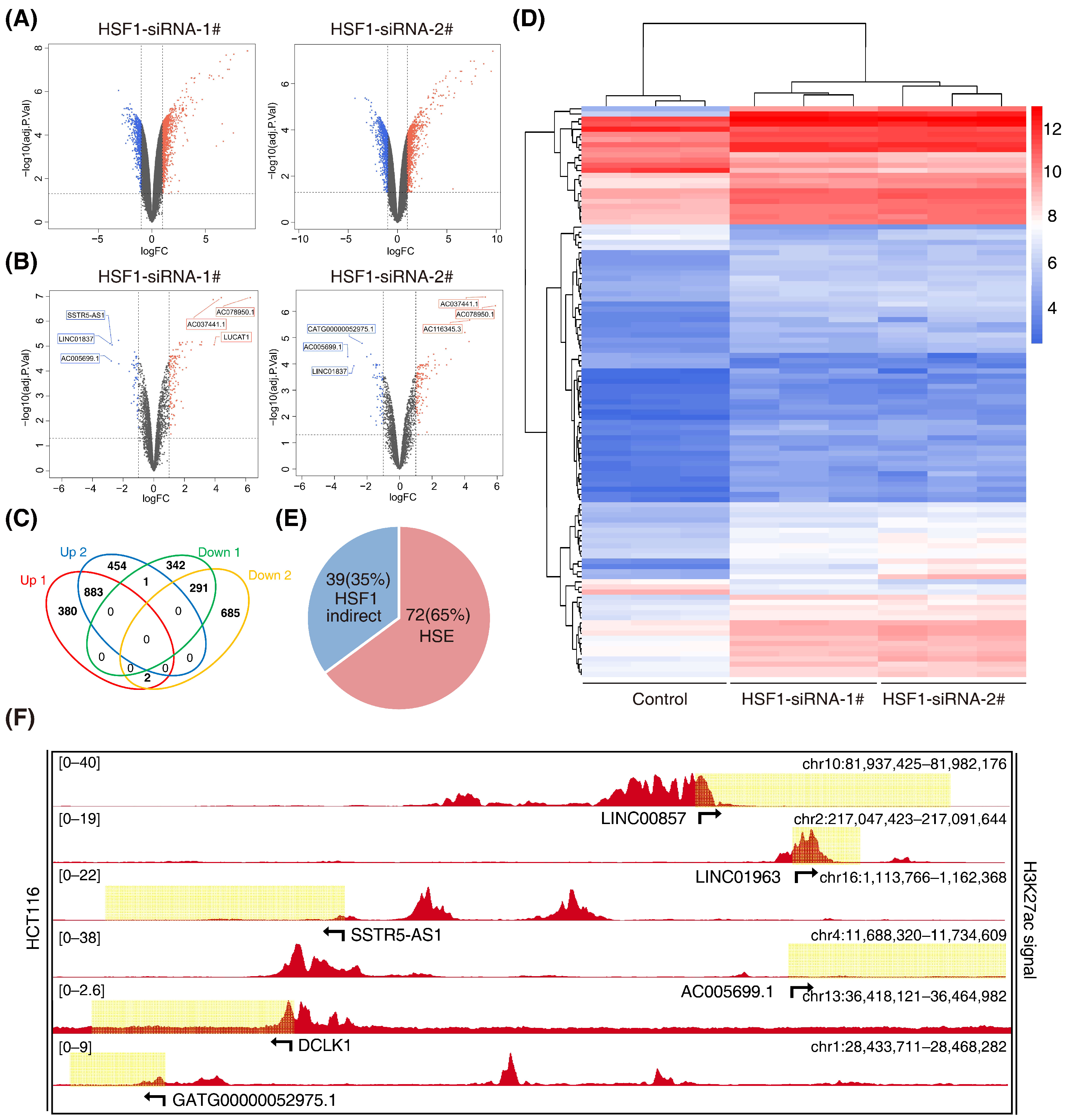 Cancers 14 03855 g002