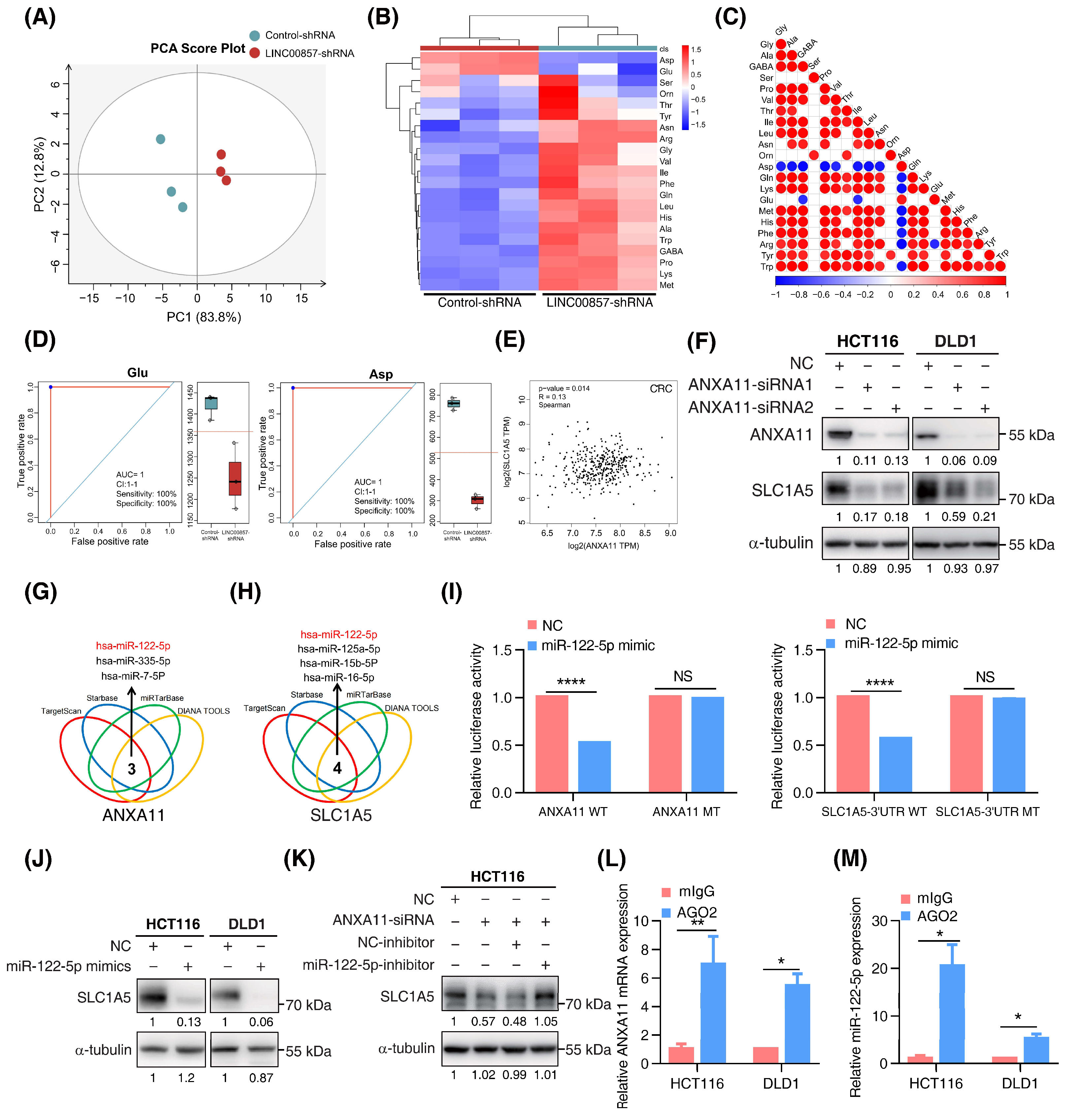 Cancers 14 03855 g006