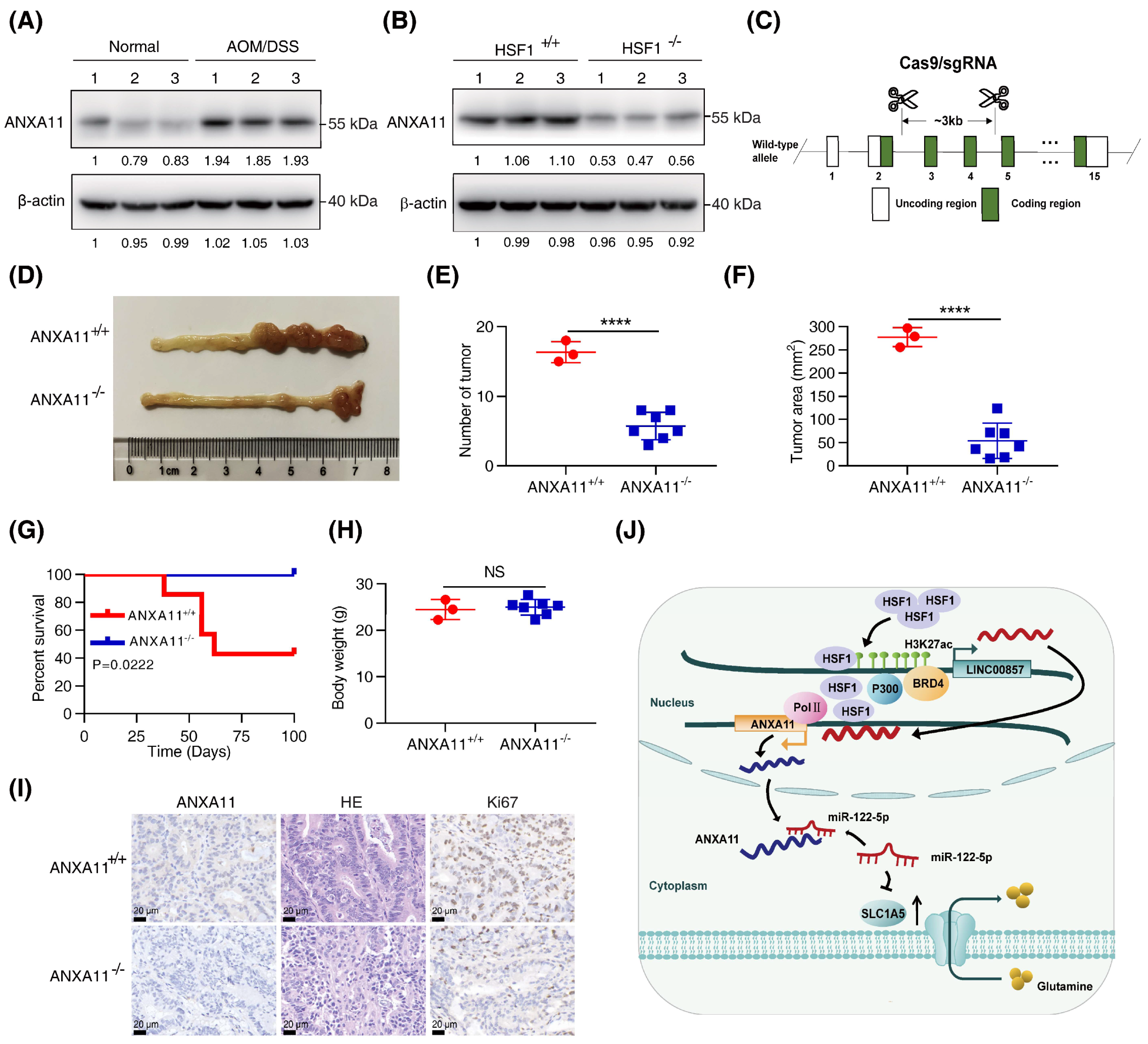 Cancers 14 03855 g007