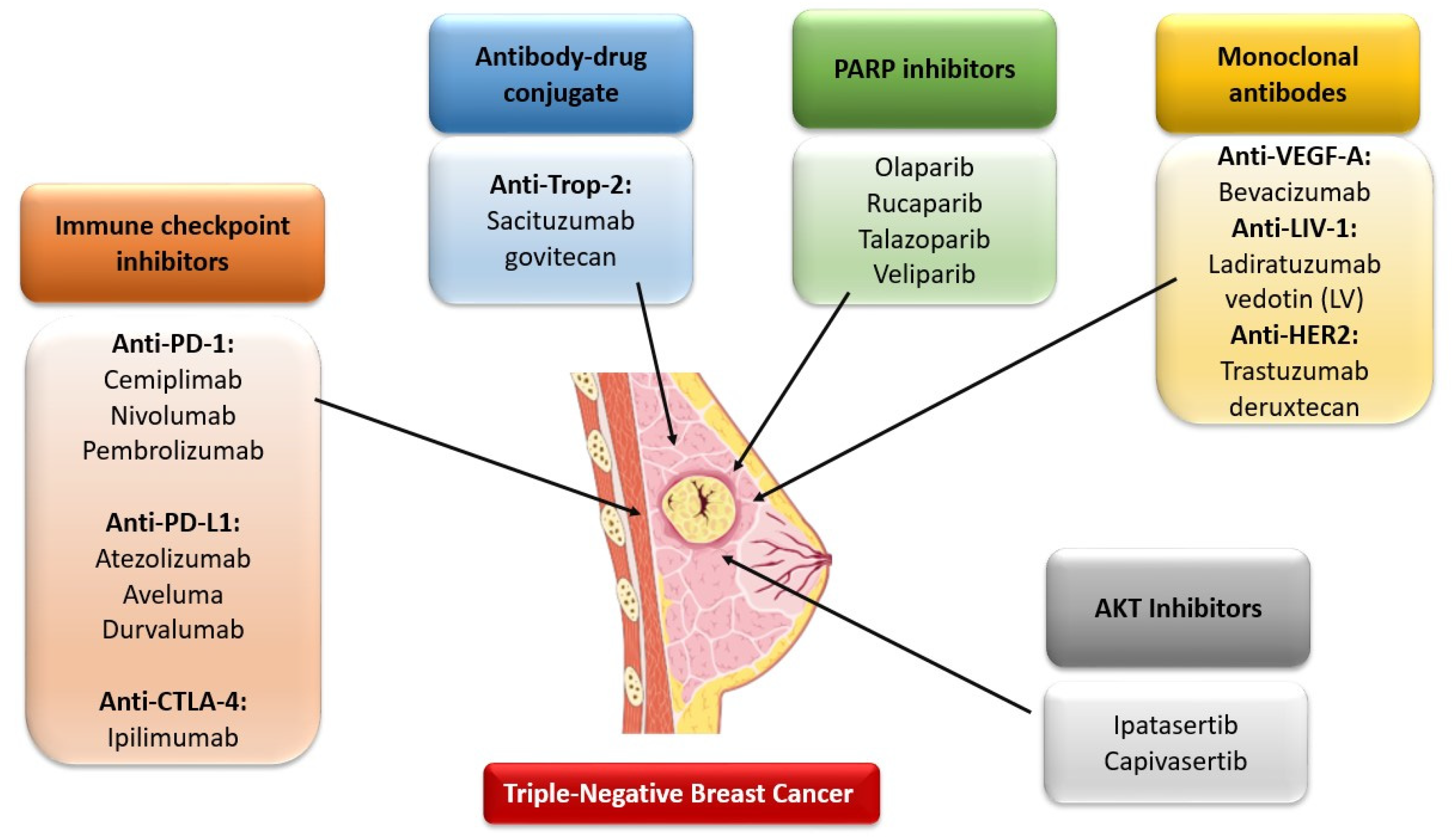 Cancers 14 03860 g002