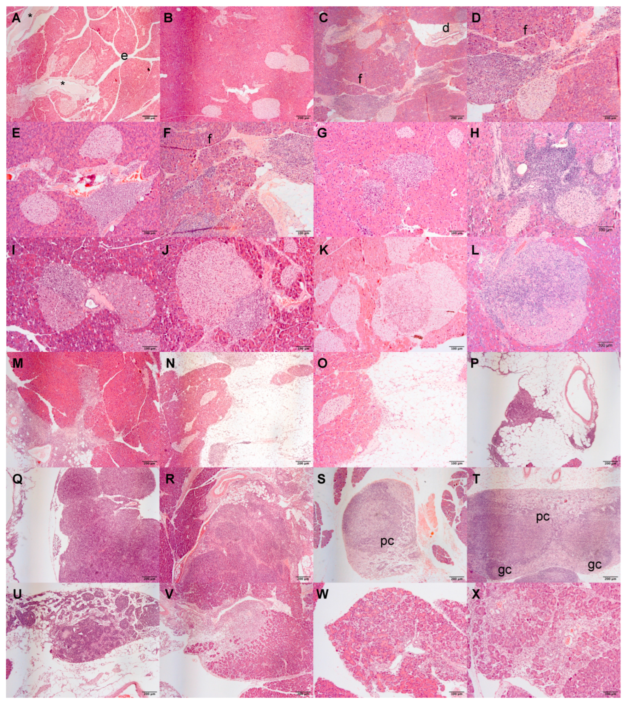 Cancers 14 03865 g003