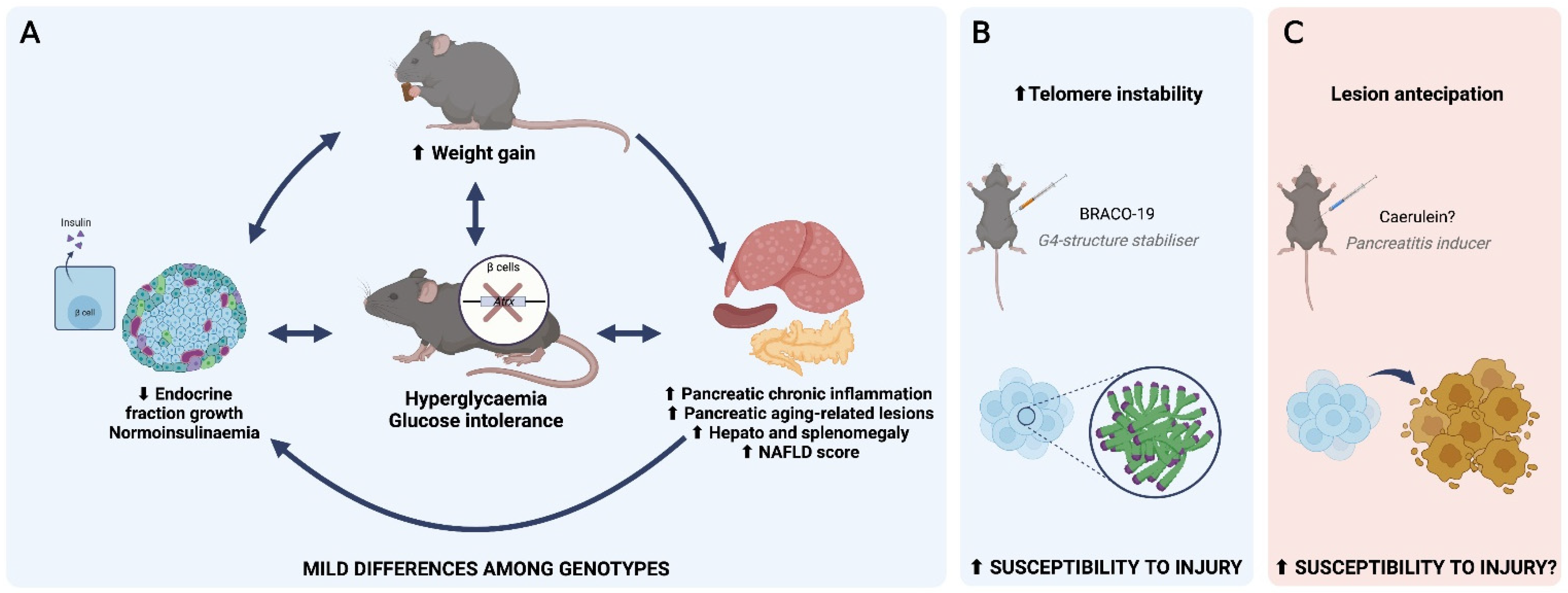 Cancers 14 03865 g007