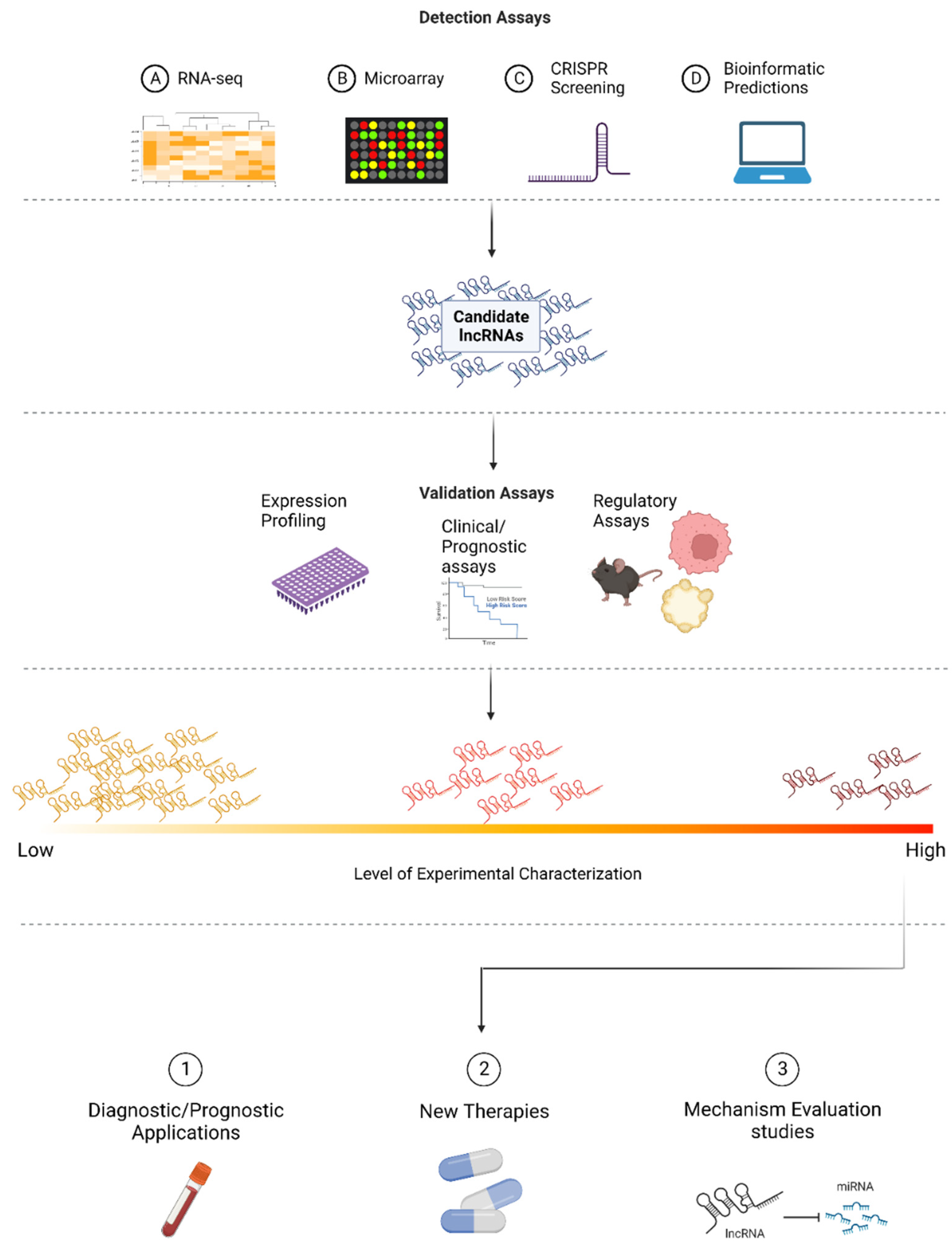 Cancers 14 03866 g002
