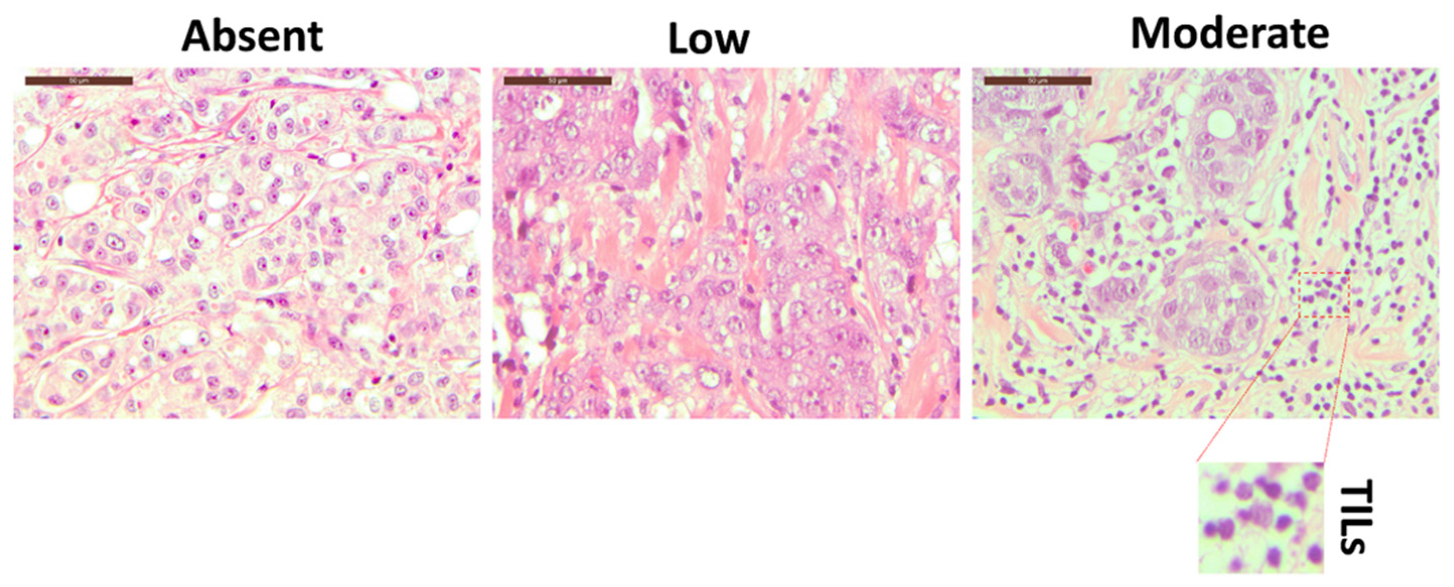 Cancers 14 03869 g001