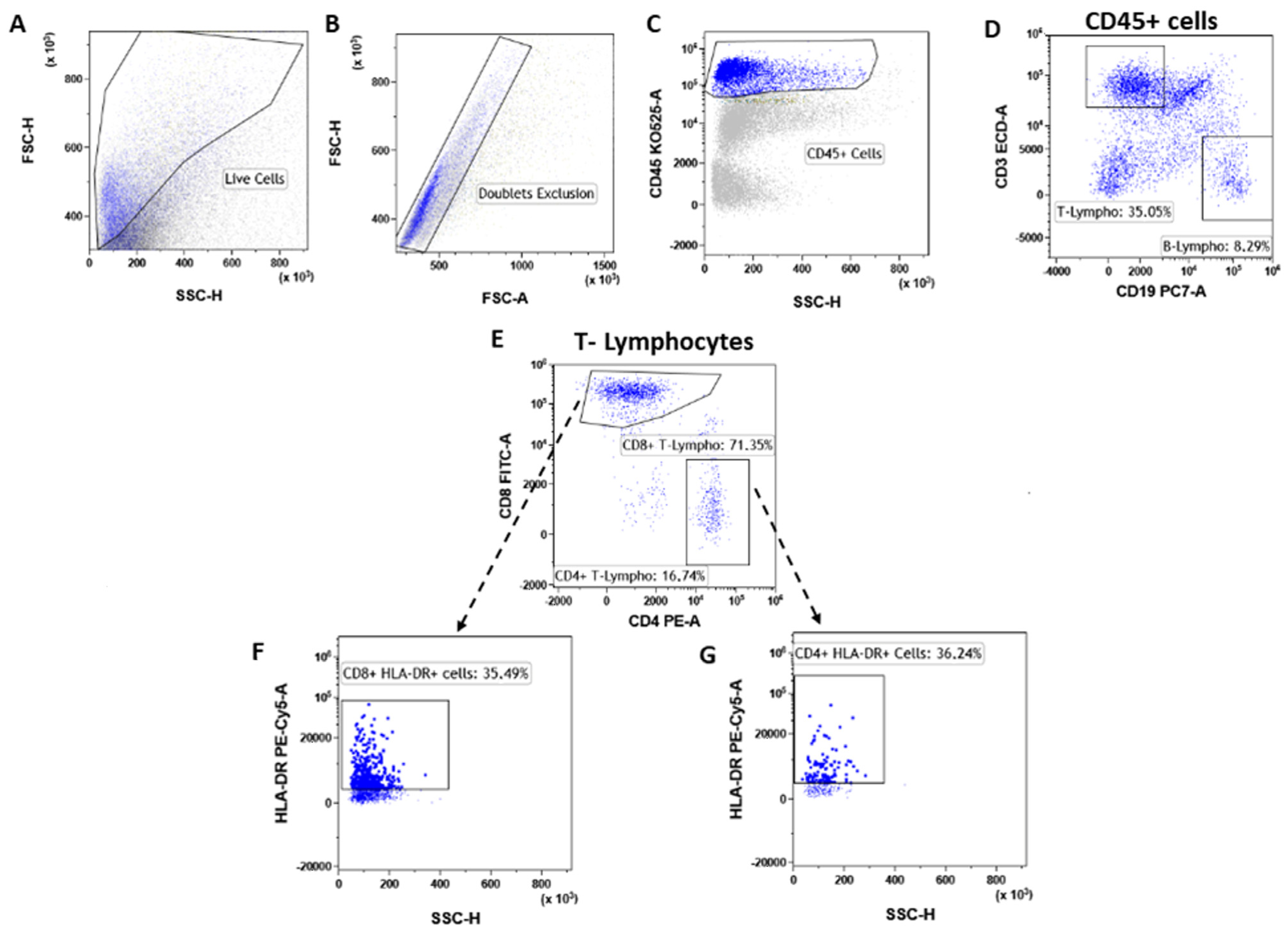 Cancers 14 03869 g003