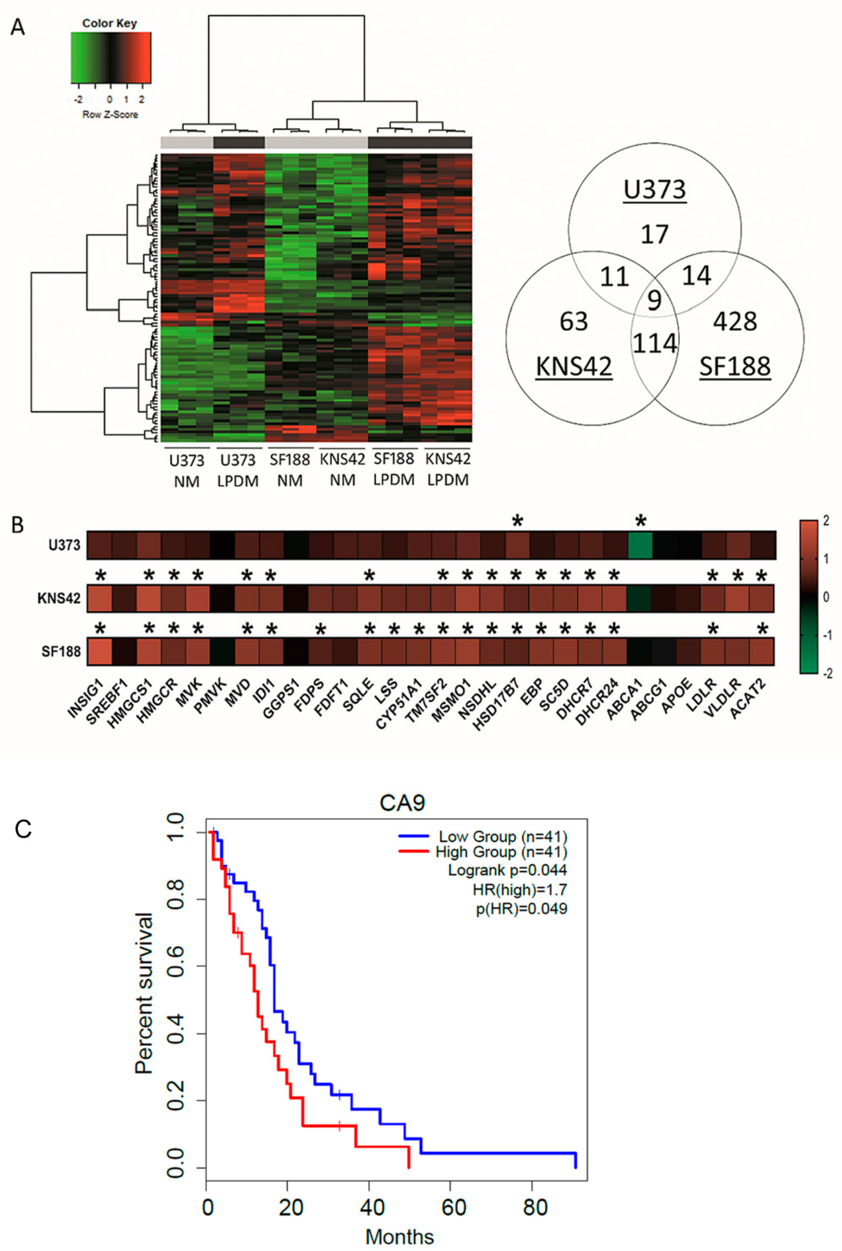 Cancers 14 03873 g002