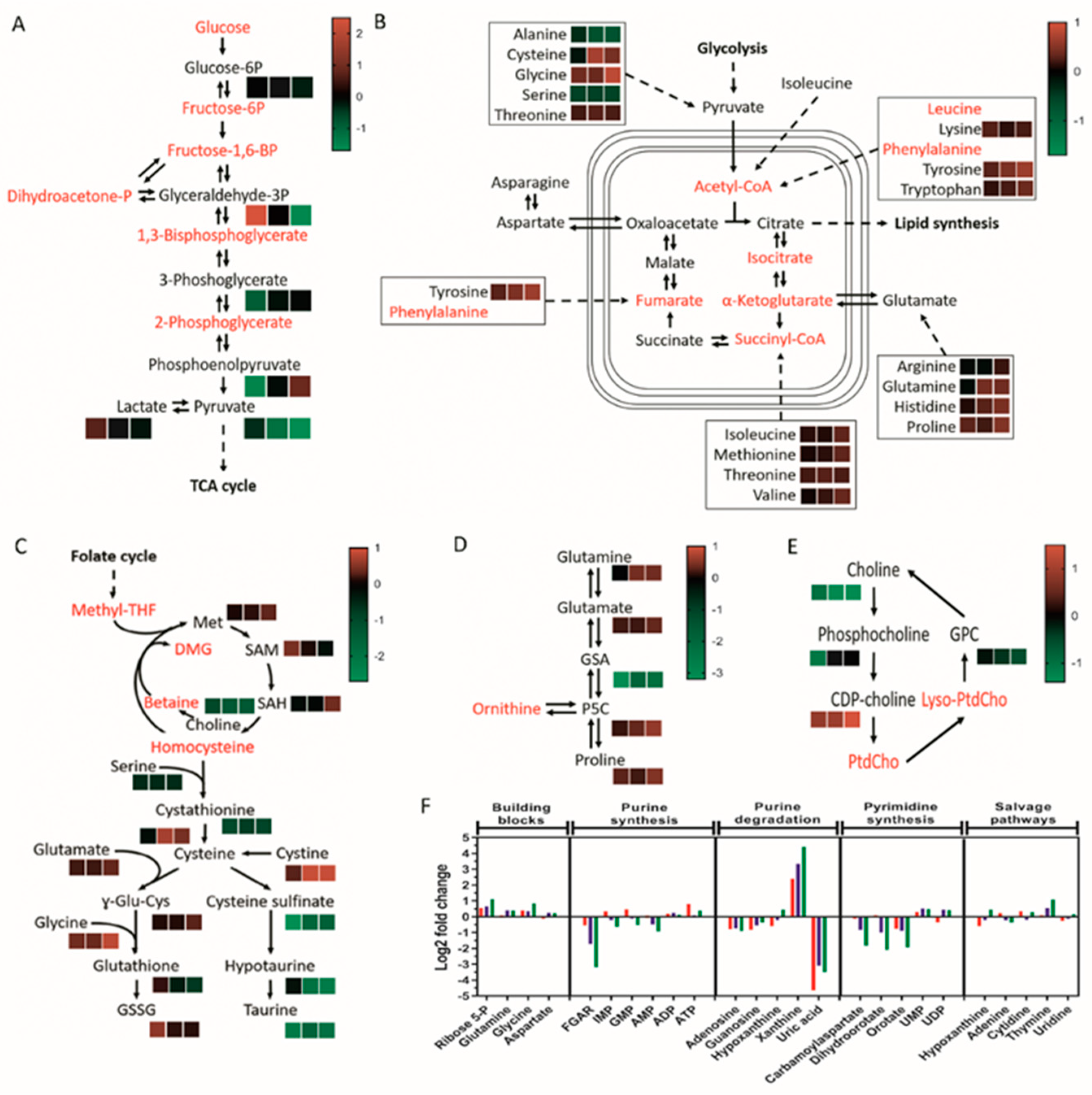 Cancers 14 03873 g003