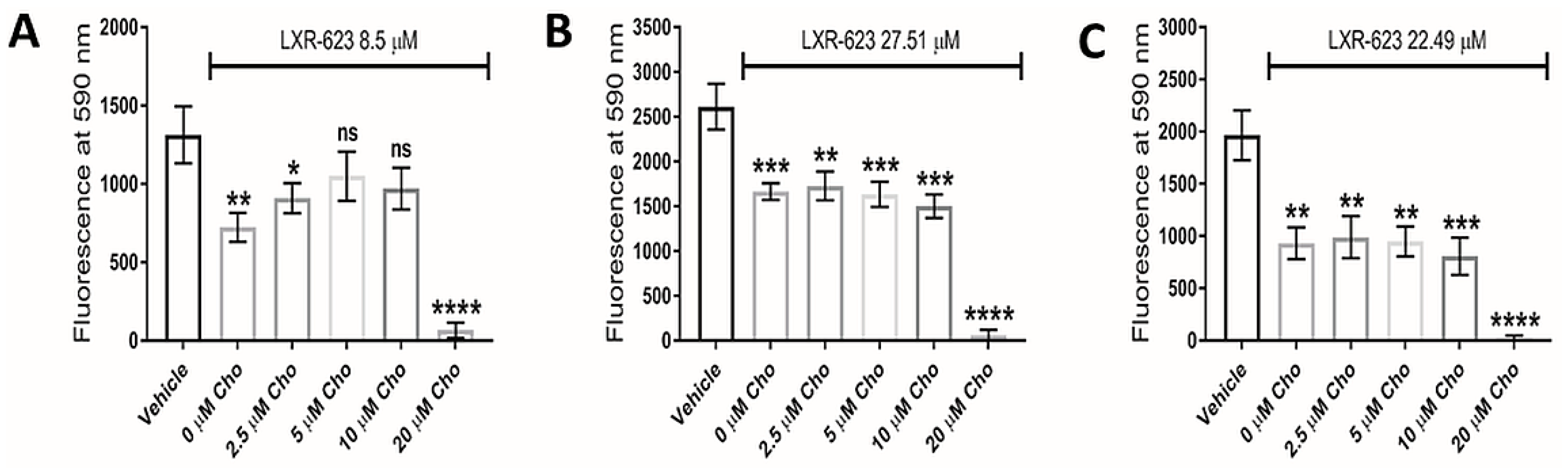 Cancers 14 03873 g006