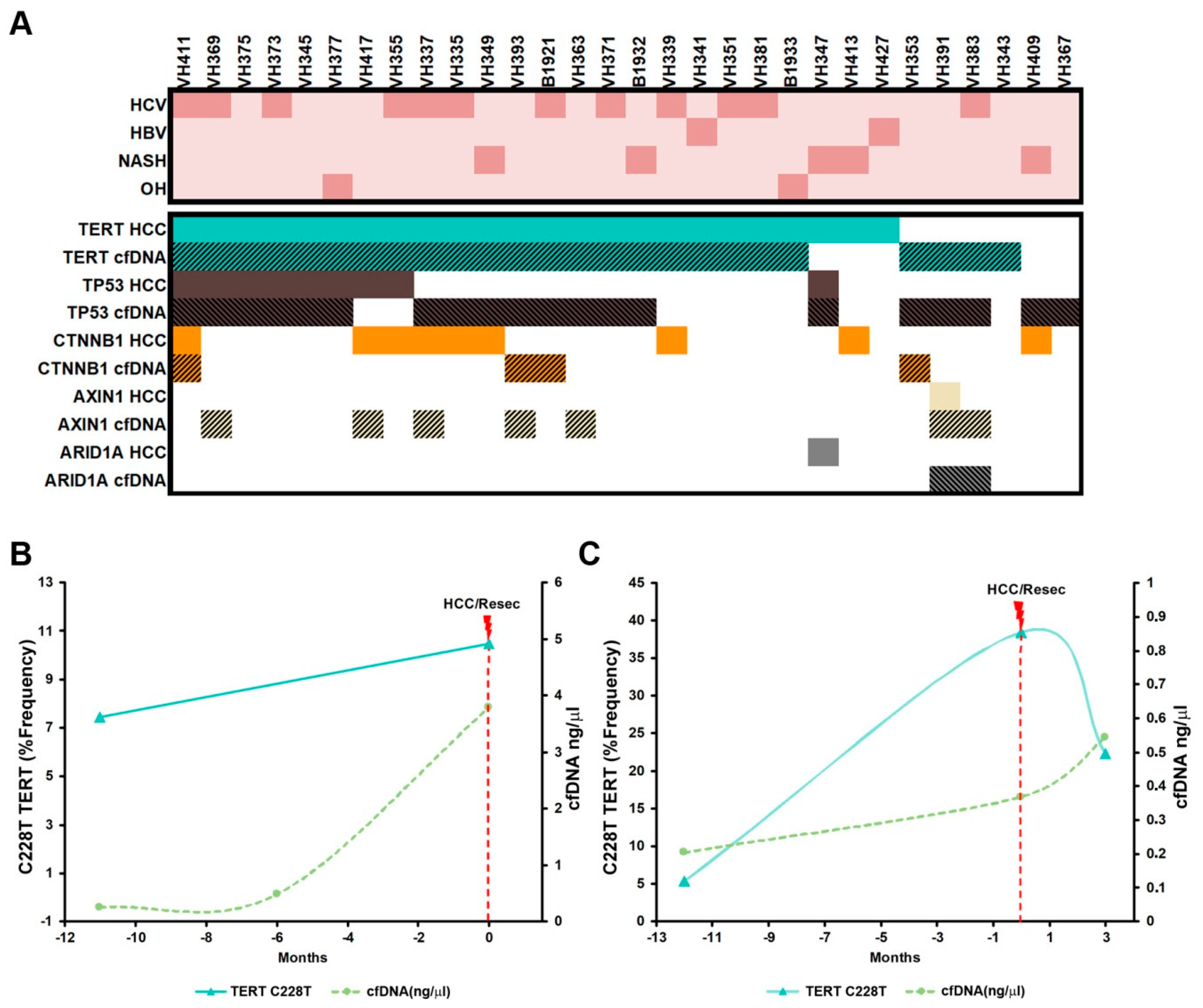 Cancers 14 03875 g004