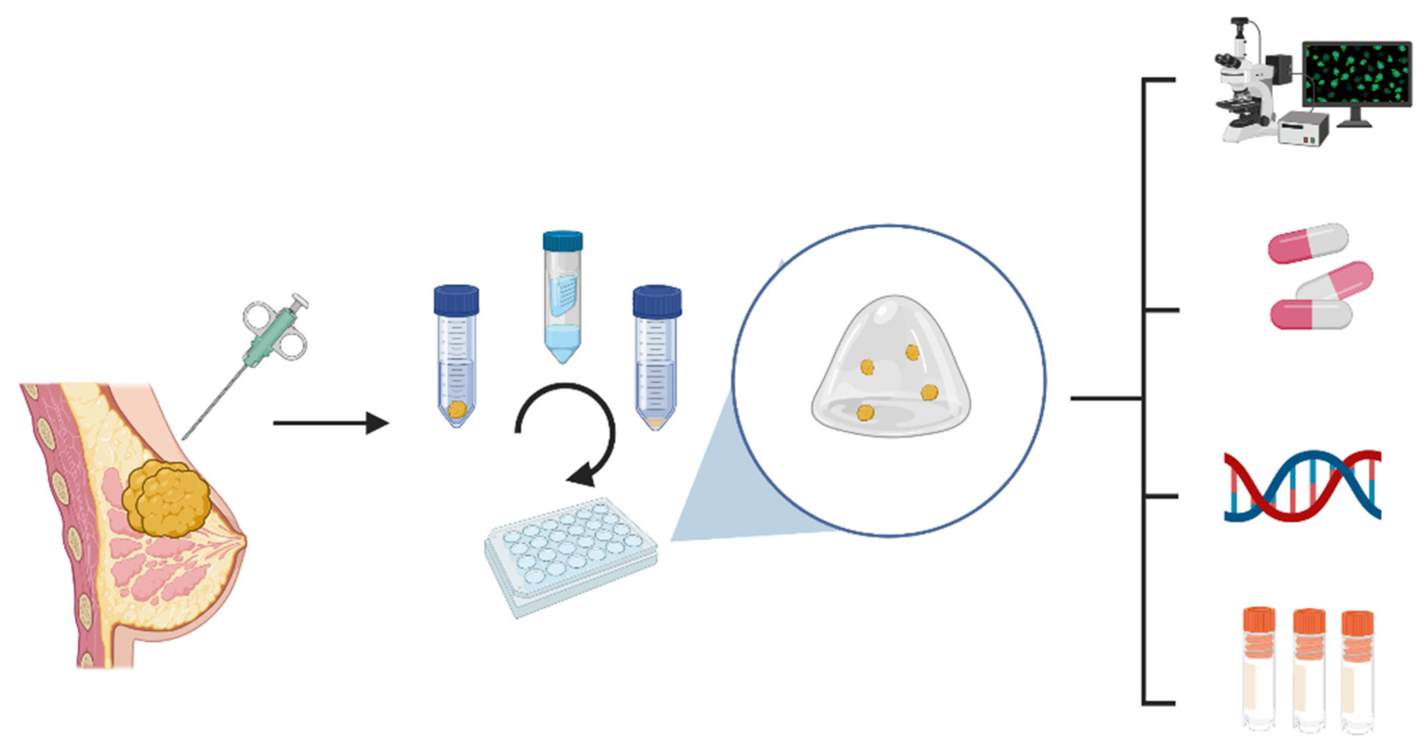 Cancers 14 03876 g003