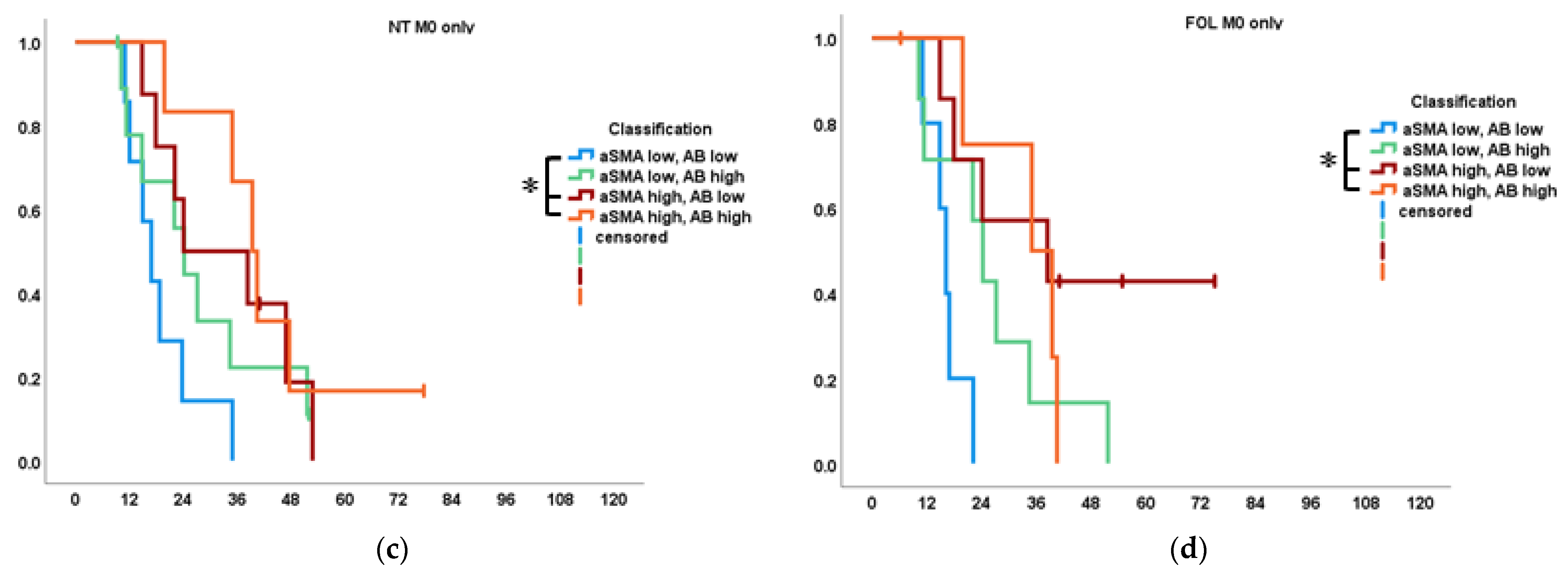 Cancers 14 03881 g004b