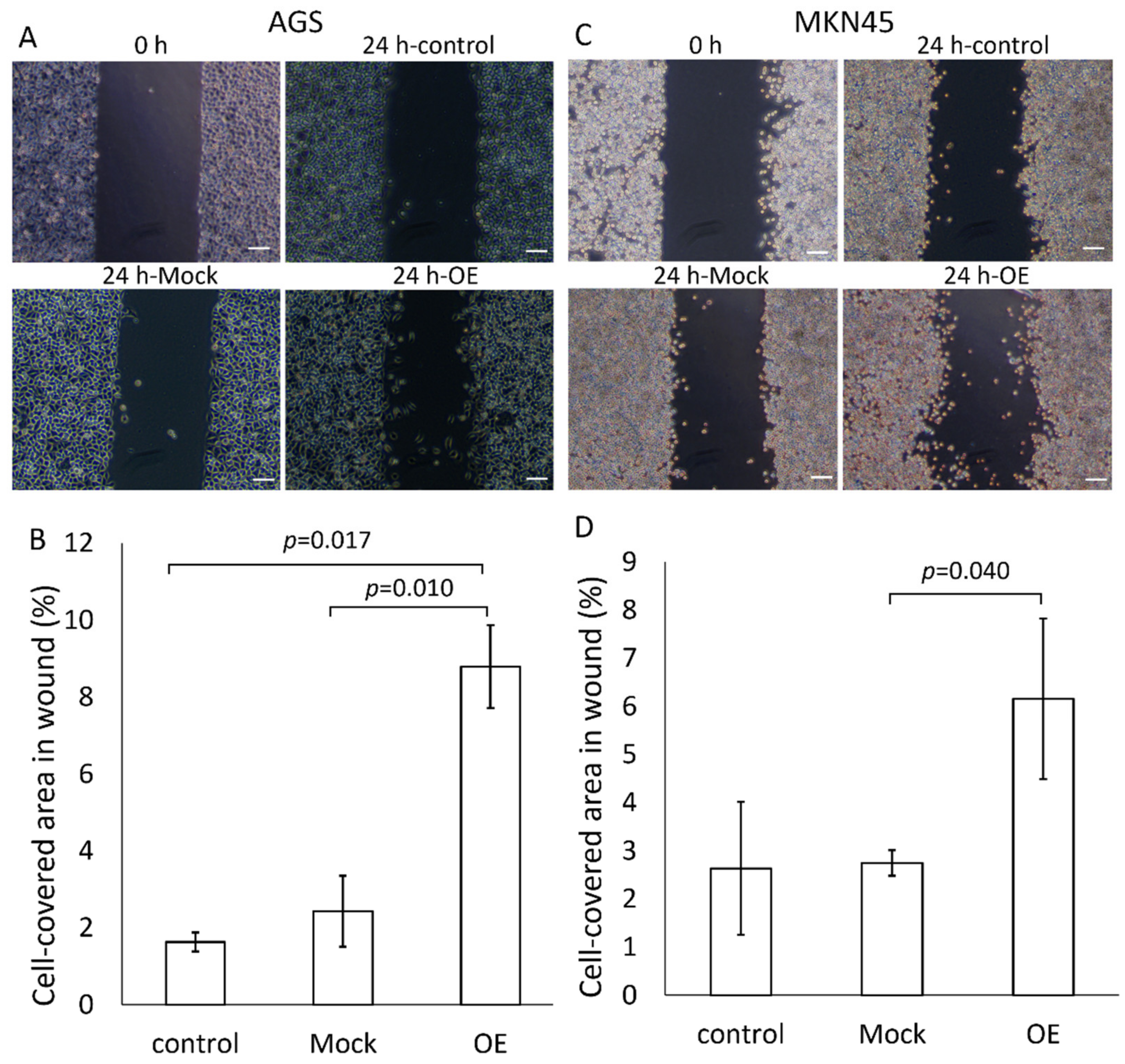 Cancers 14 03887 g004