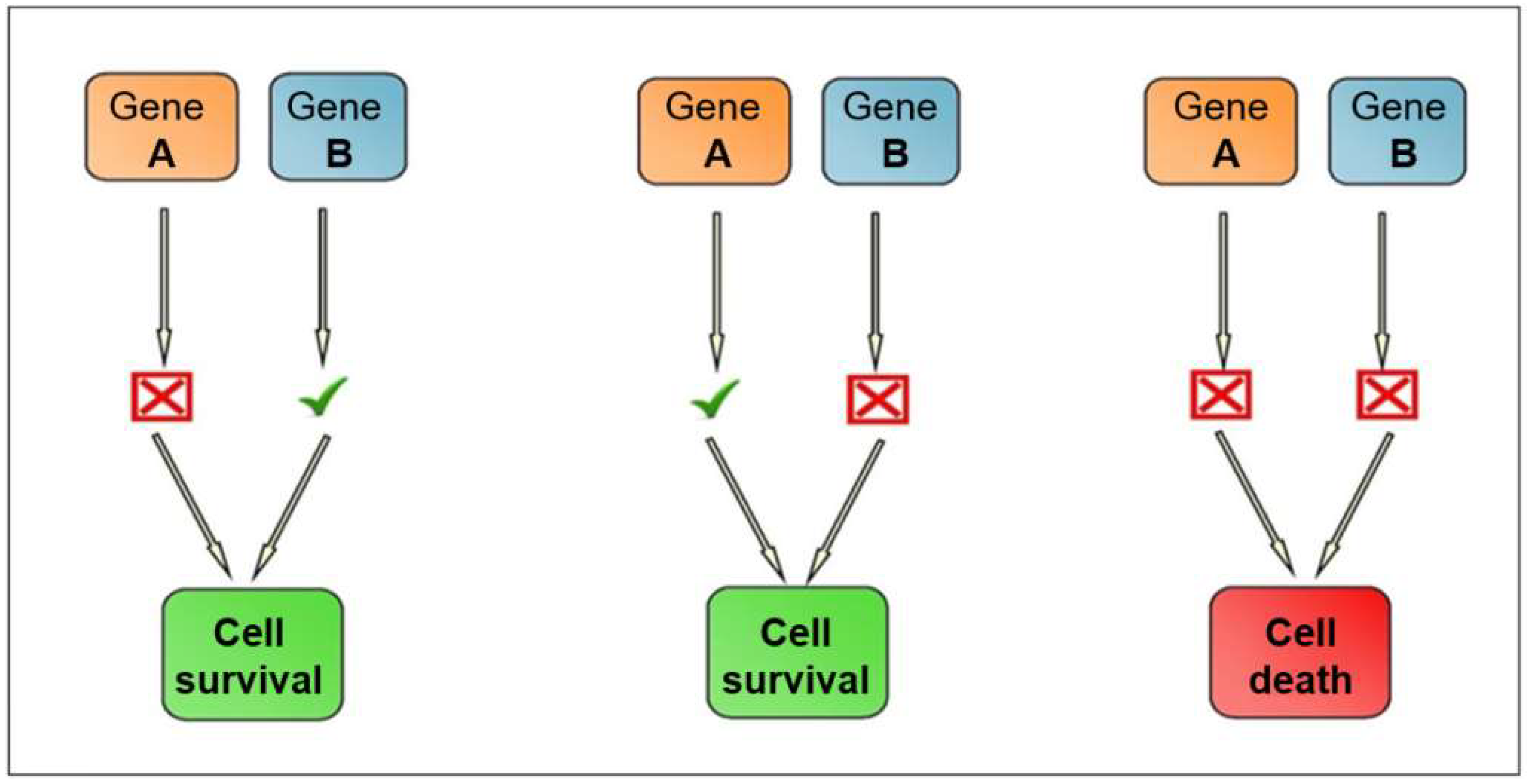 Cancers 14 03888 g001