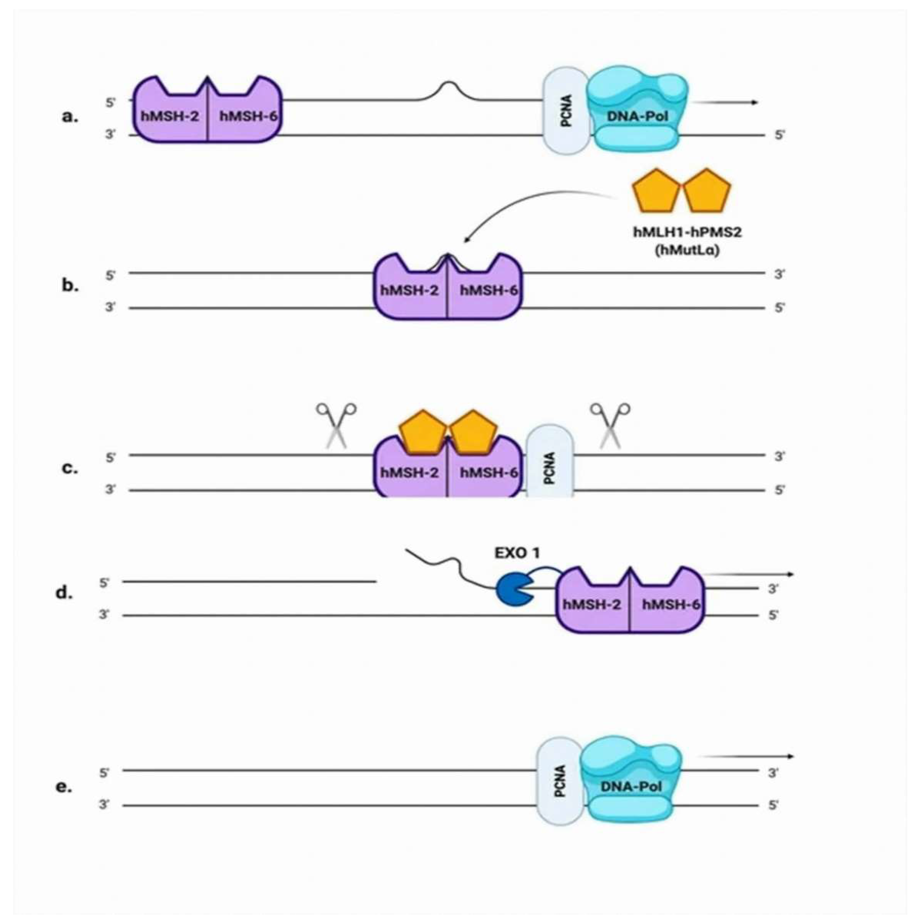 Cancers 14 03888 g002