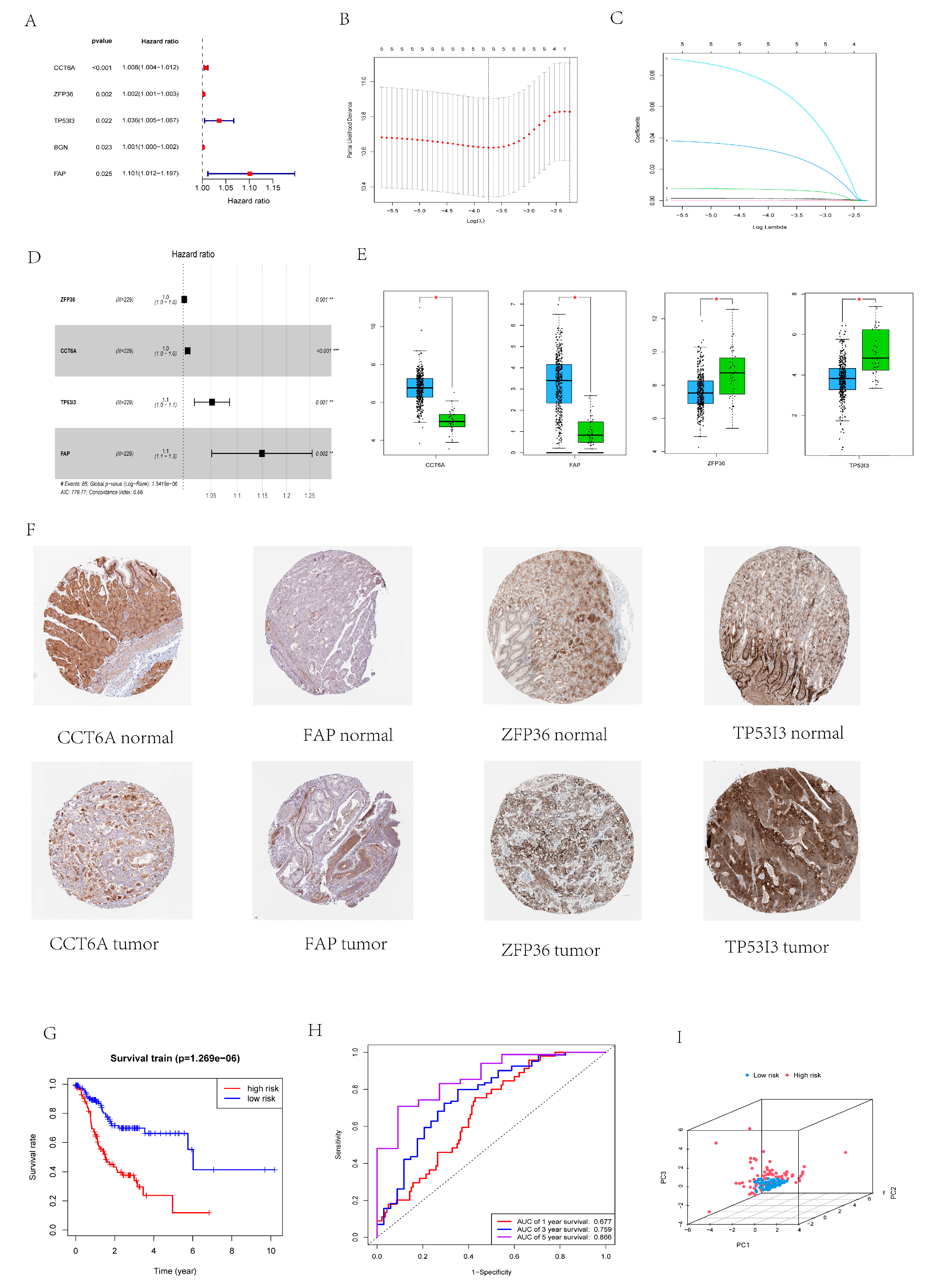 Cancers 14 03891 g005