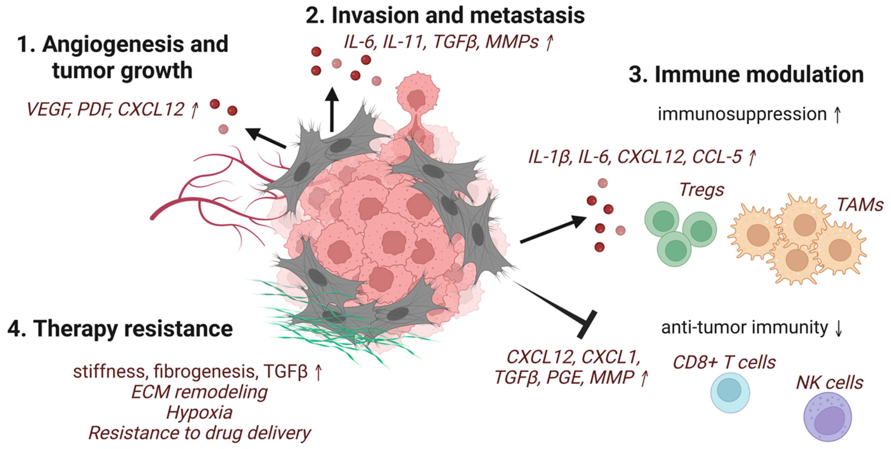 Cancers 14 03906 g001