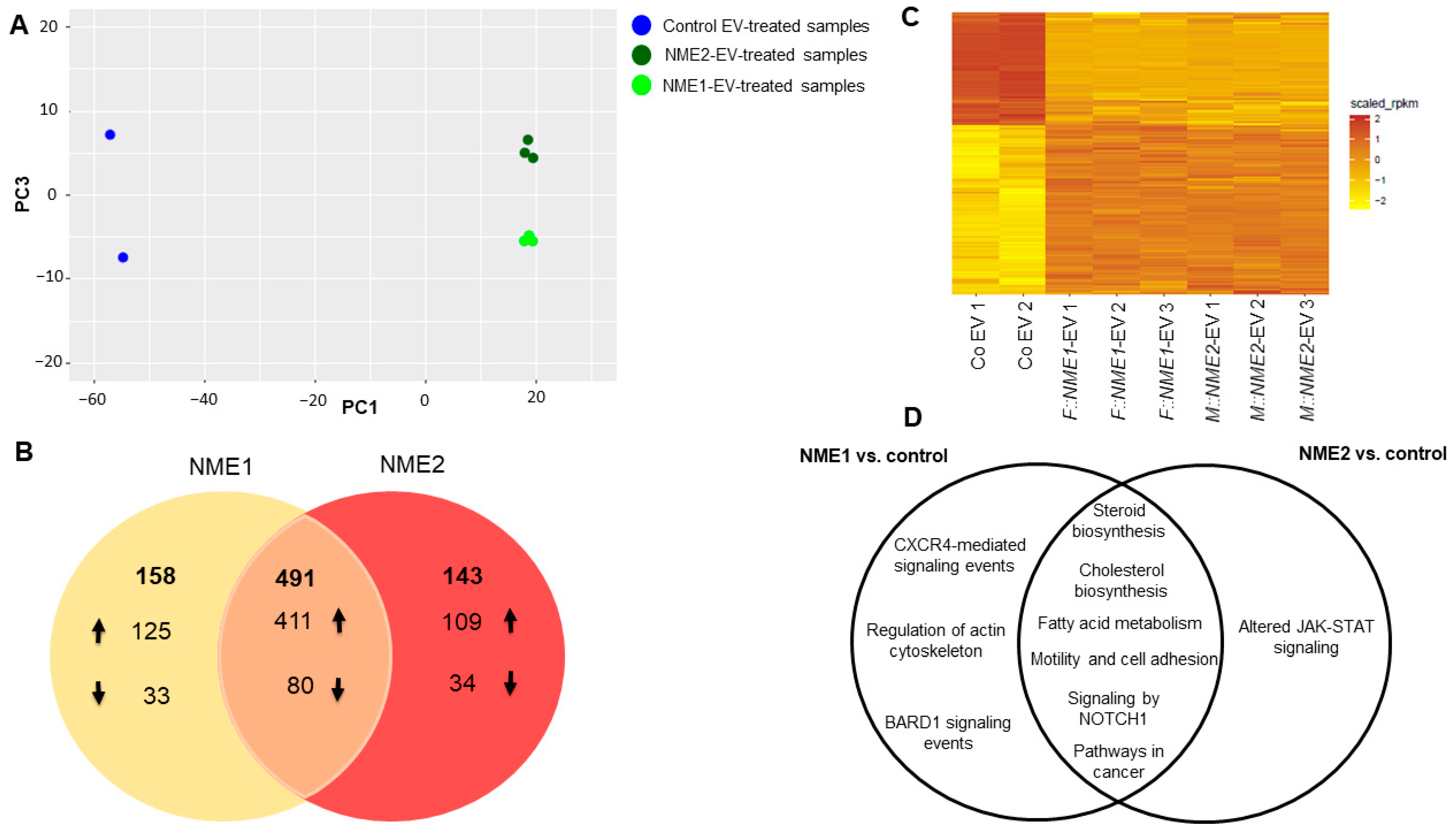 Cancers 14 03913 g003