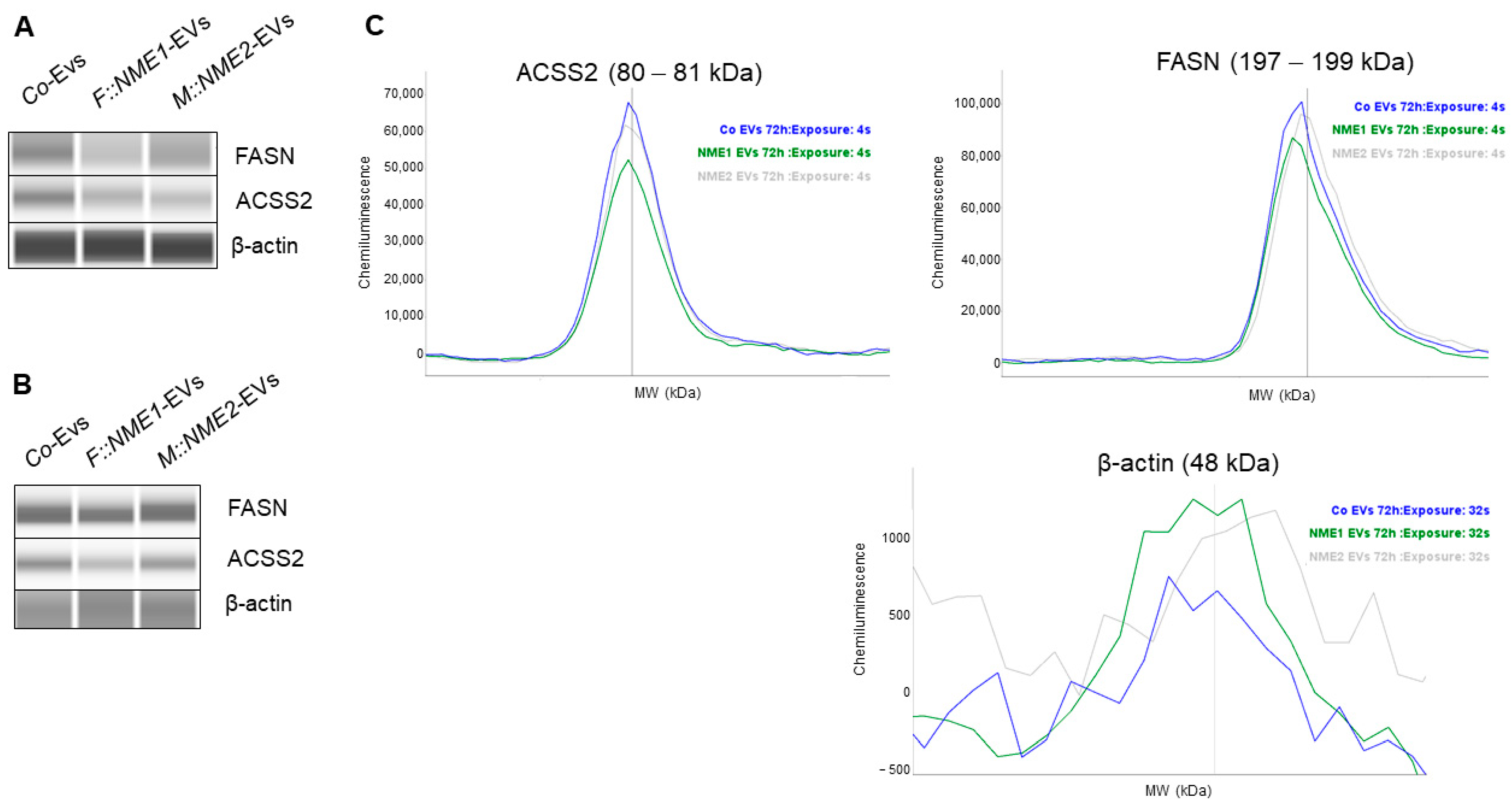Cancers 14 03913 g005