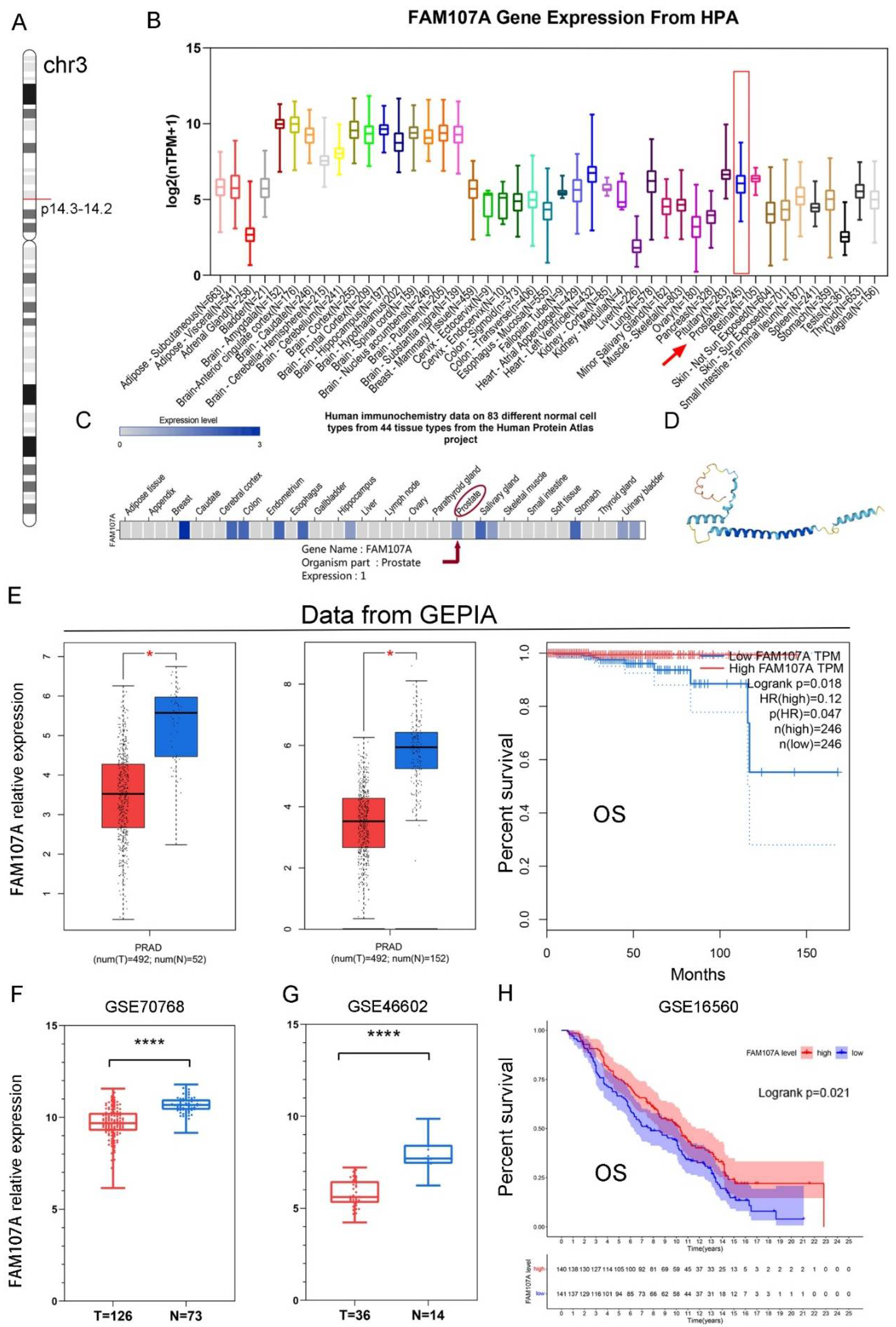 Cancers 14 03915 g001