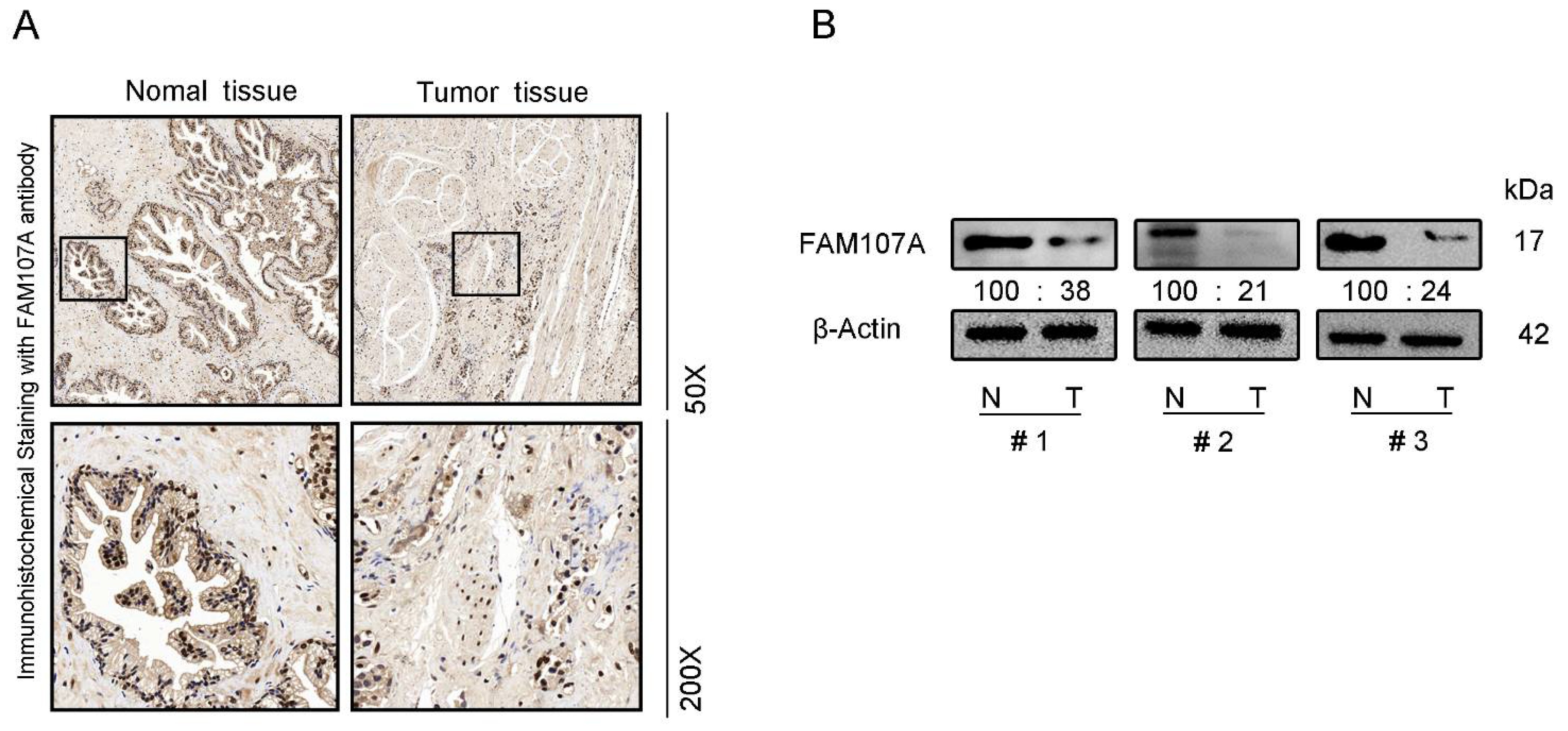 Cancers 14 03915 g002