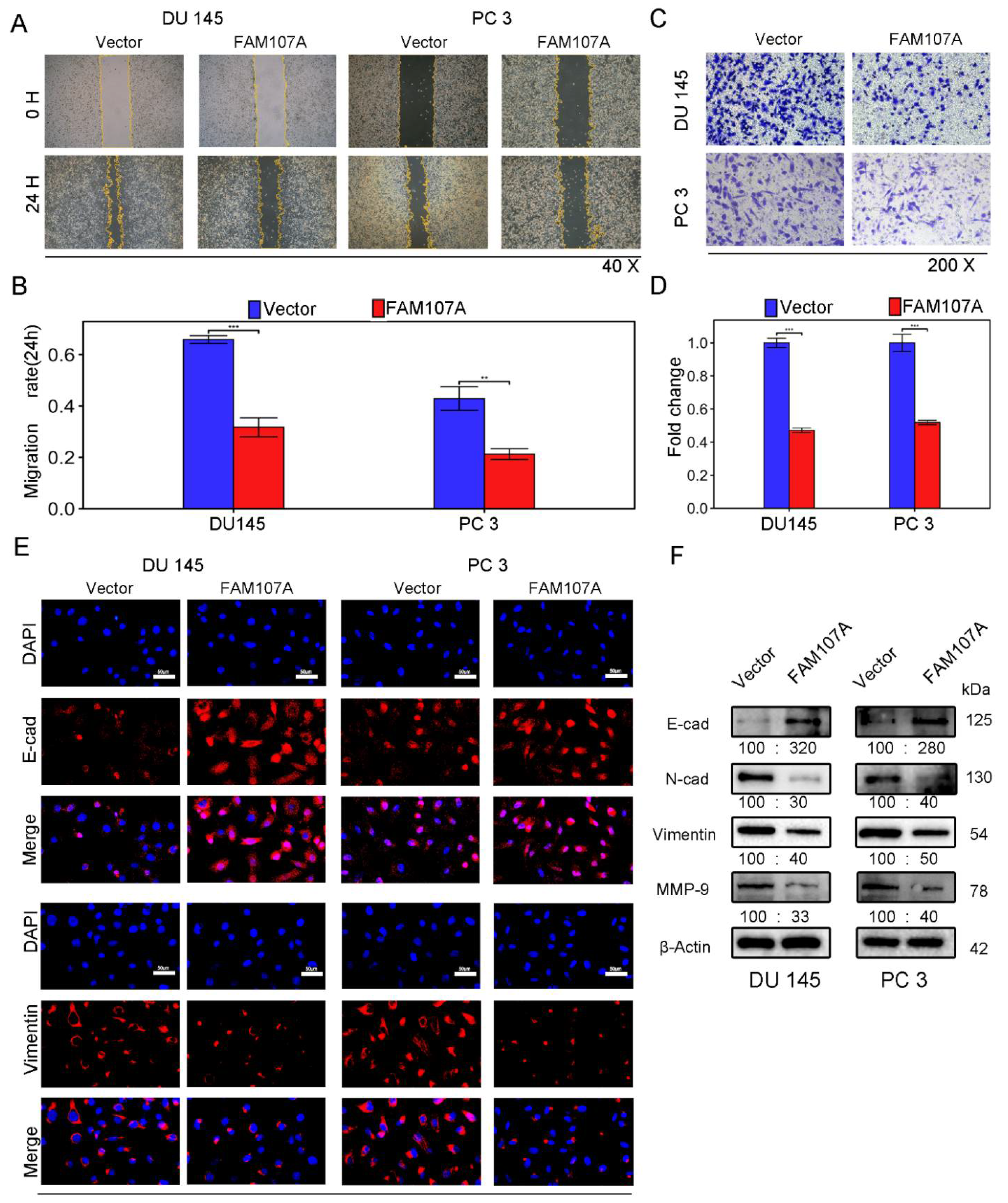 Cancers 14 03915 g005