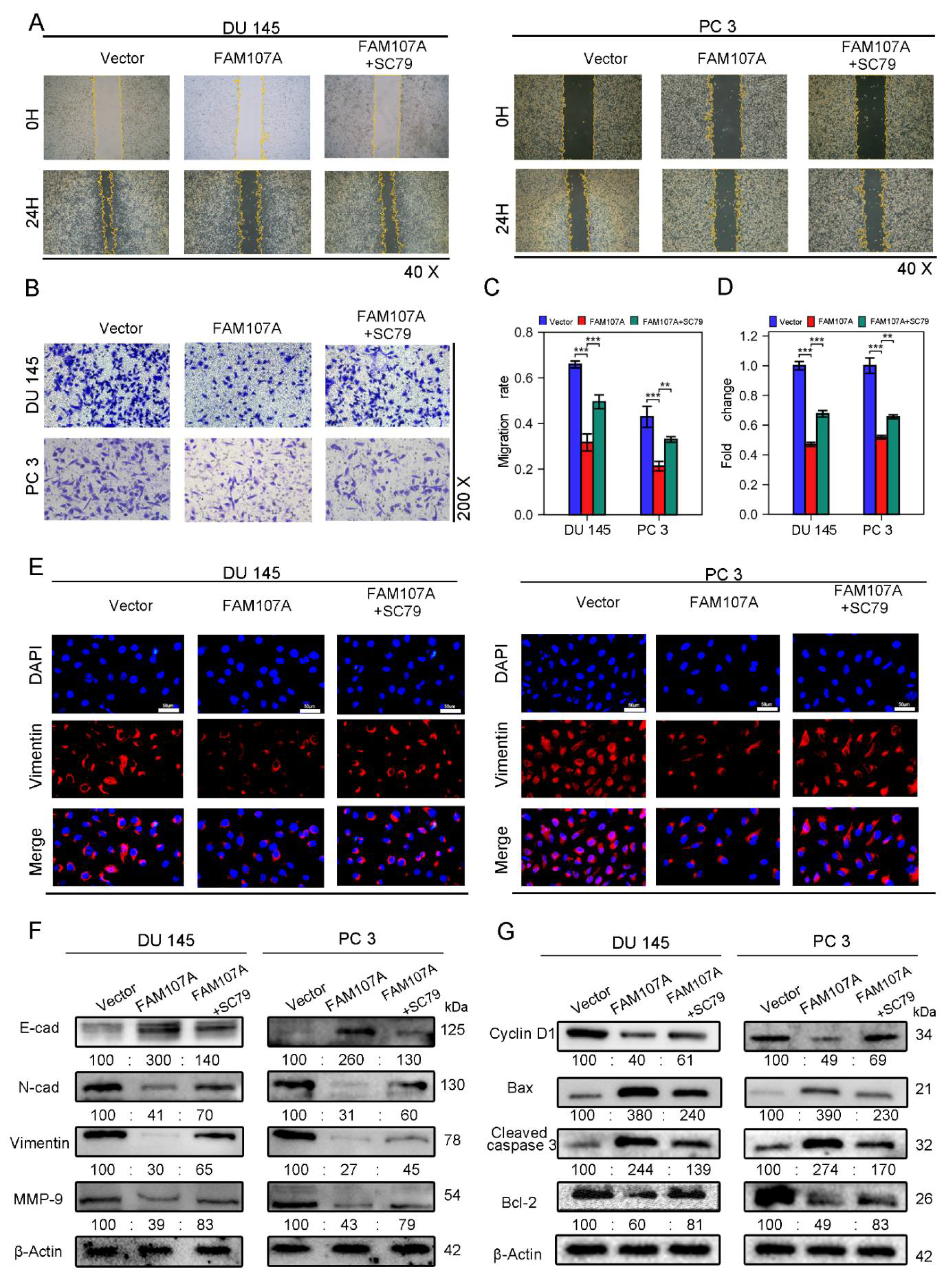 Cancers 14 03915 g008