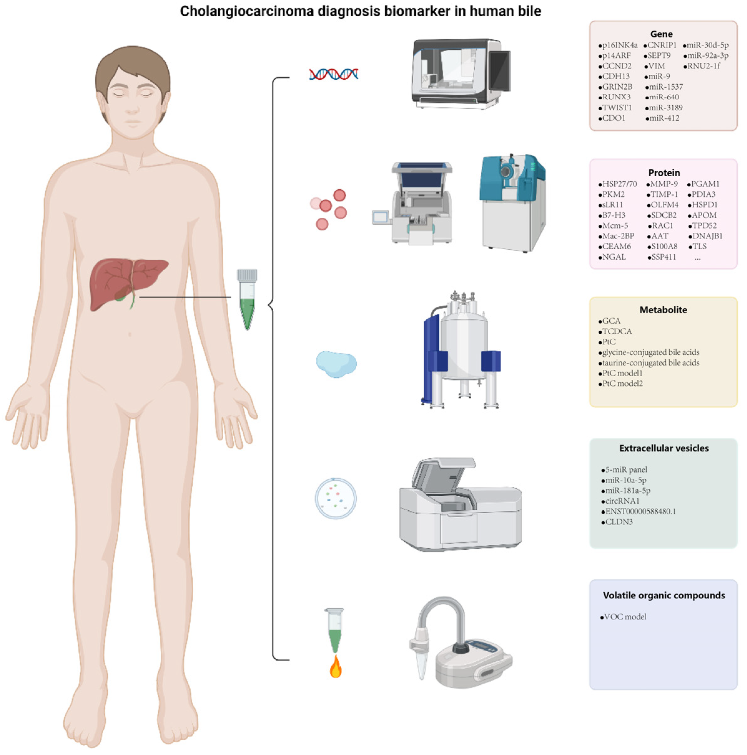 Cancers 14 03921 g001