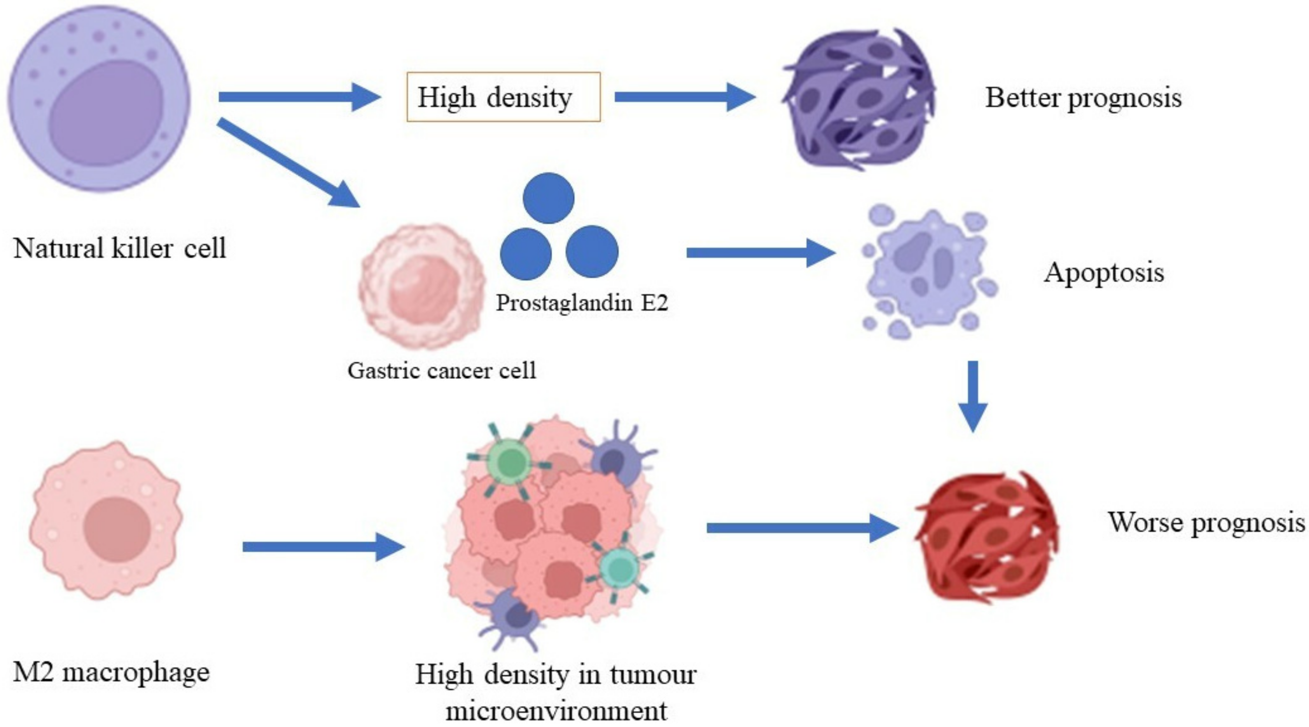 Cancers 14 03922 g002 Cancers 14 03922 g002