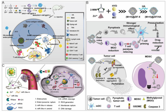 Cancers 14 03935 g006 550
